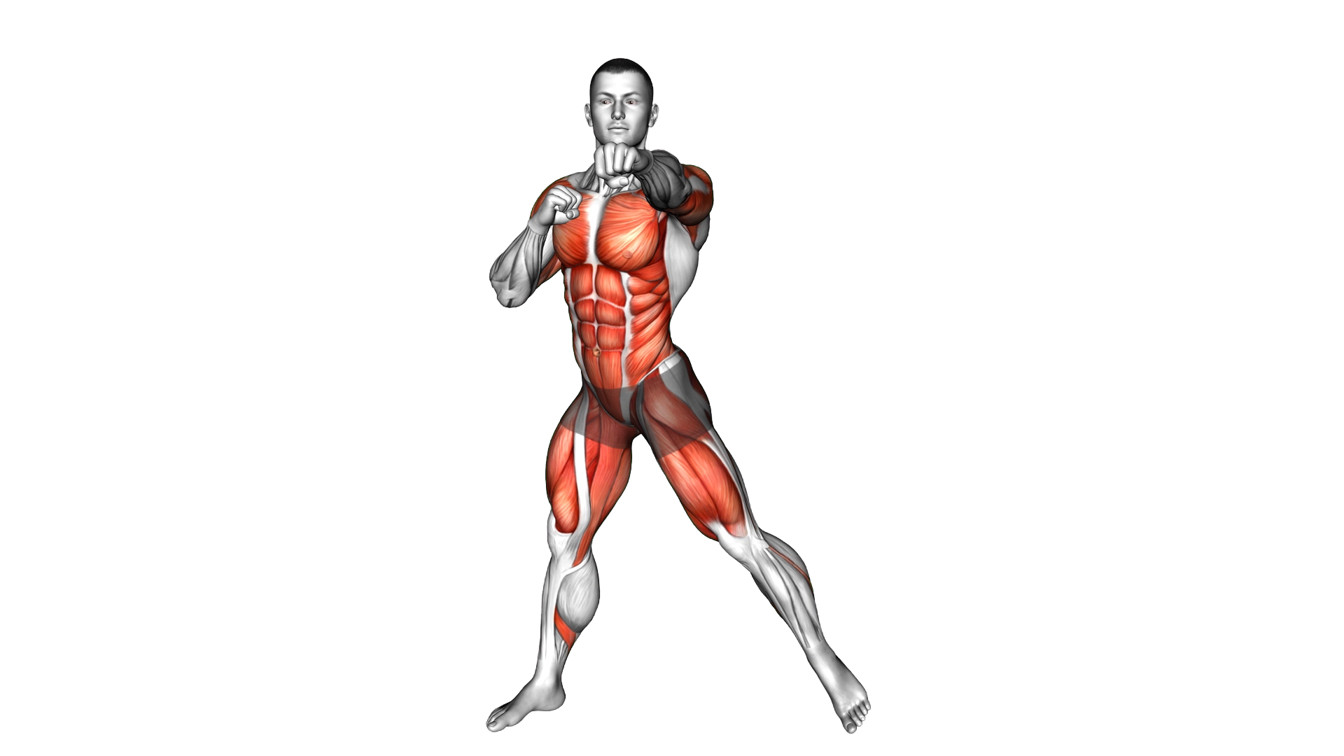 Squat Side up Hook Punch exercise demonstration
