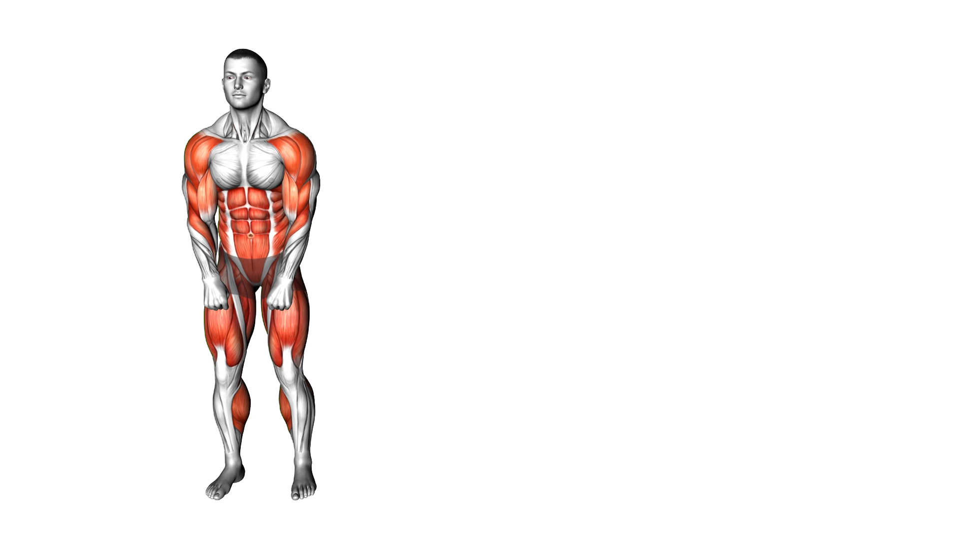 Side Step Upright Row exercise demonstration