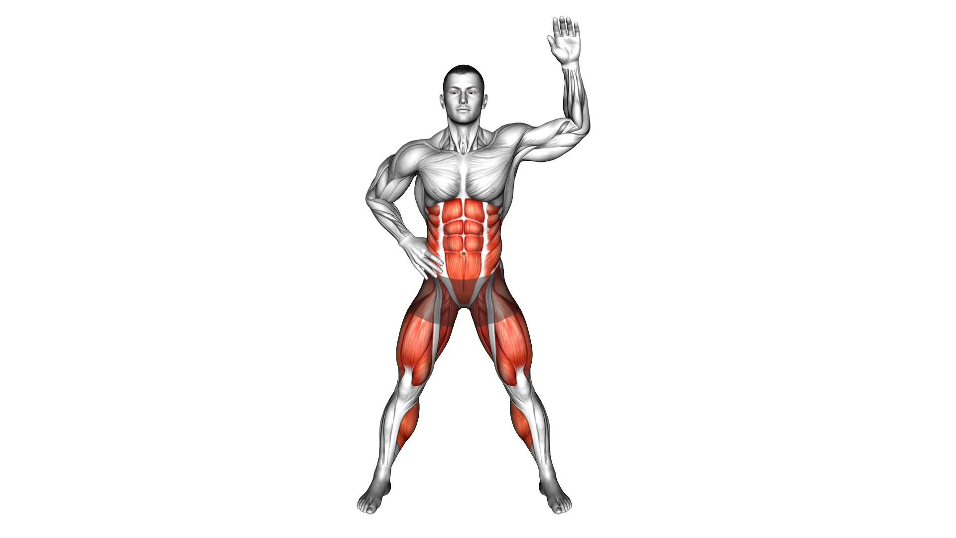 Side Step Crunch exercise demonstration