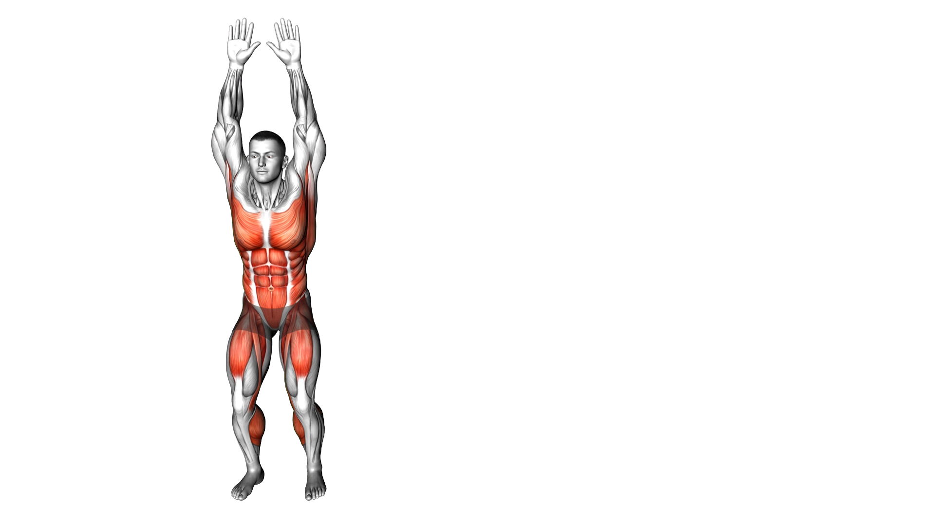Side Shuffle Leg Side Lift exercise demonstration