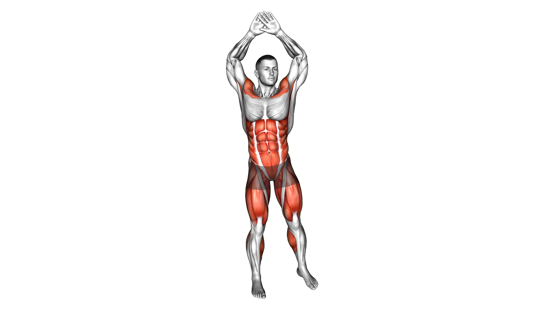 Twist Front Raise exercise demonstration