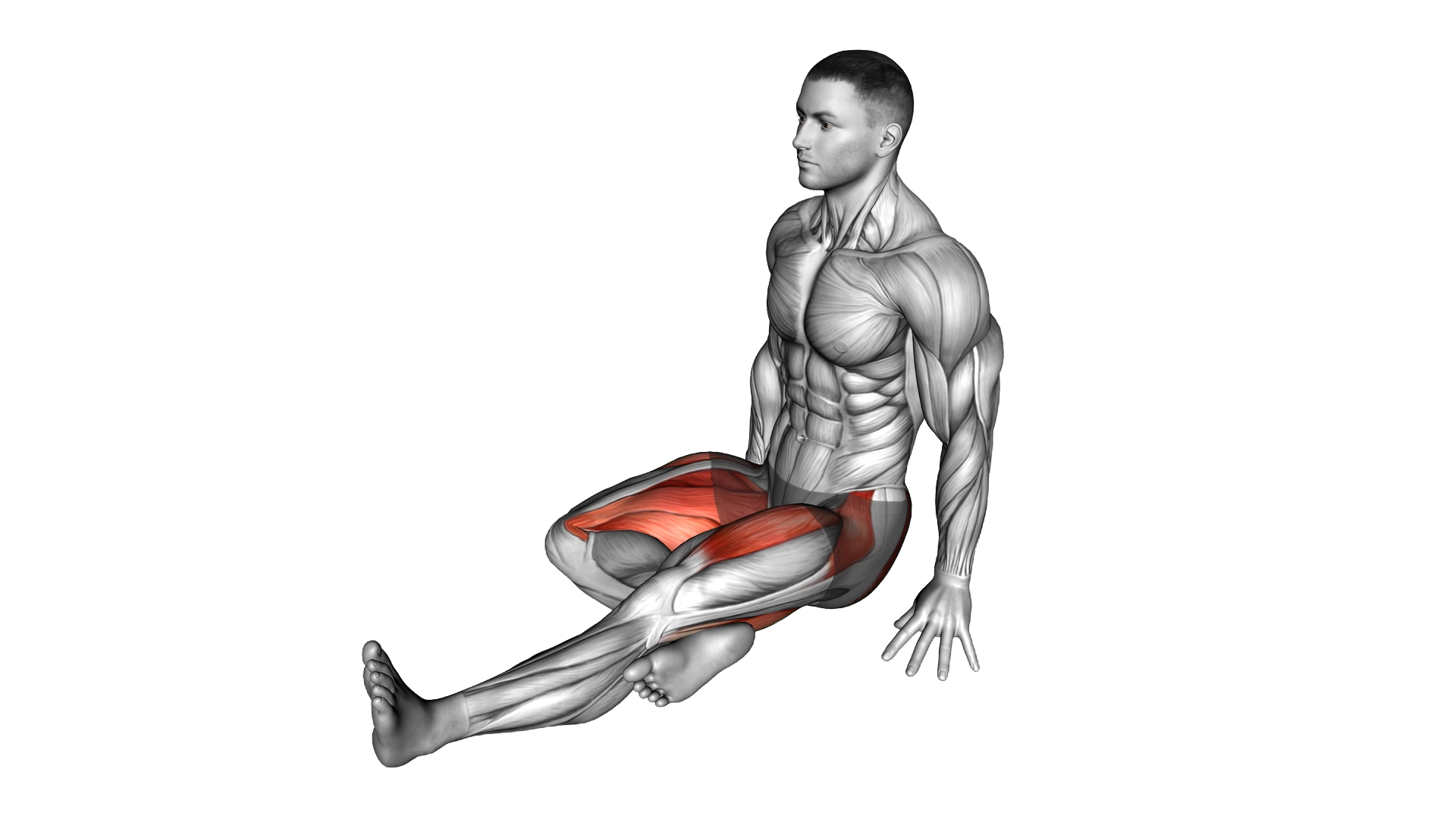 Knee Hug Glute Stretch exercise demonstration