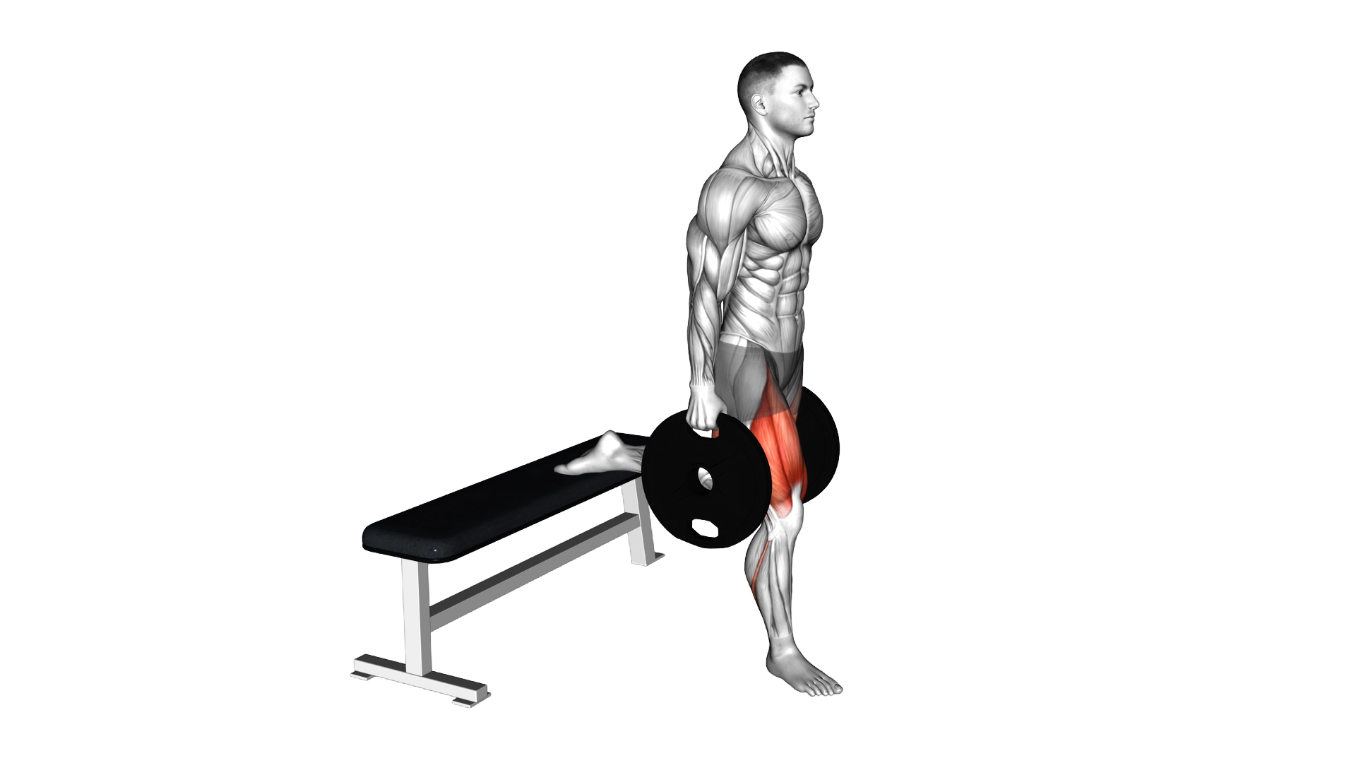 Weighted Plates Bulgarian Split Squat exercise demonstration