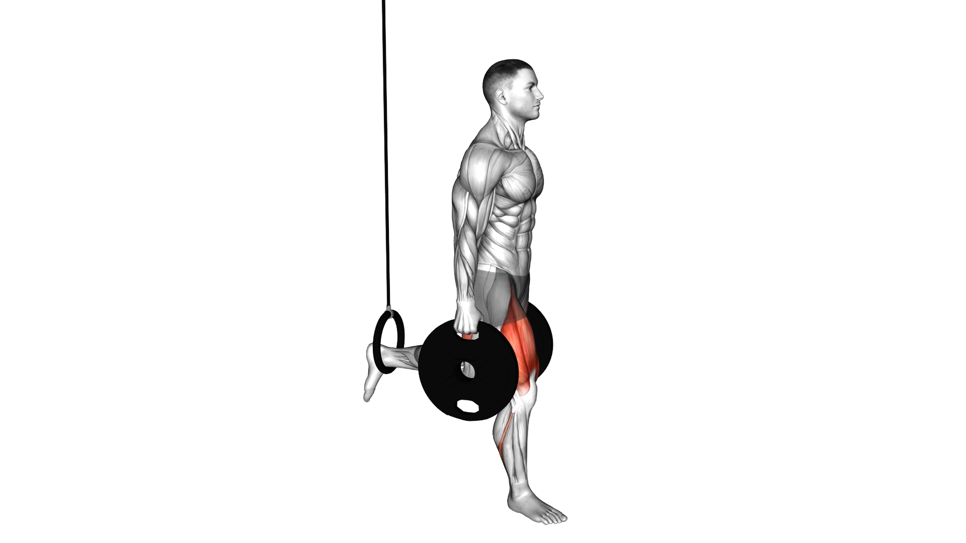 Weighted Plates Bulgarian Split Squat with the Ring exercise demonstration