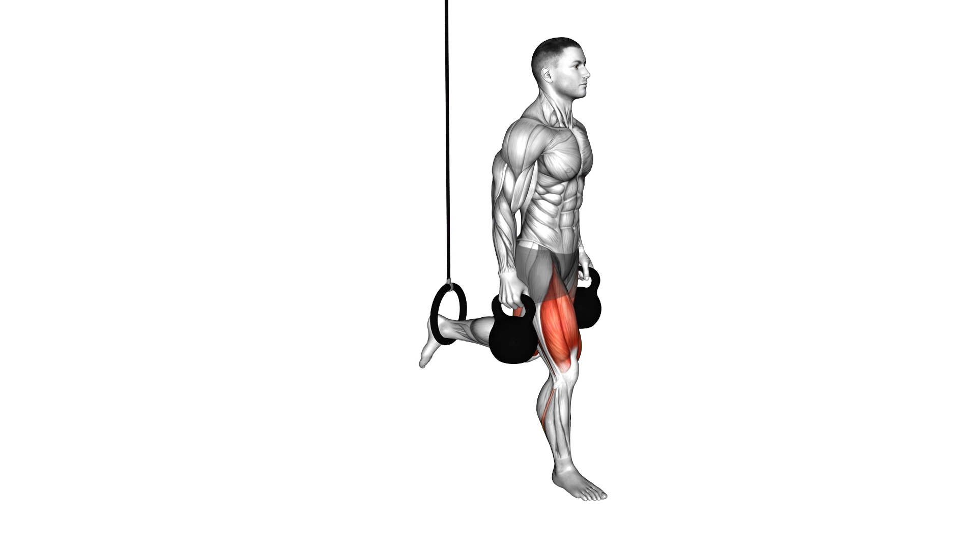 Kettlebell Single Leg Split Squat with the Ring exercise demonstration