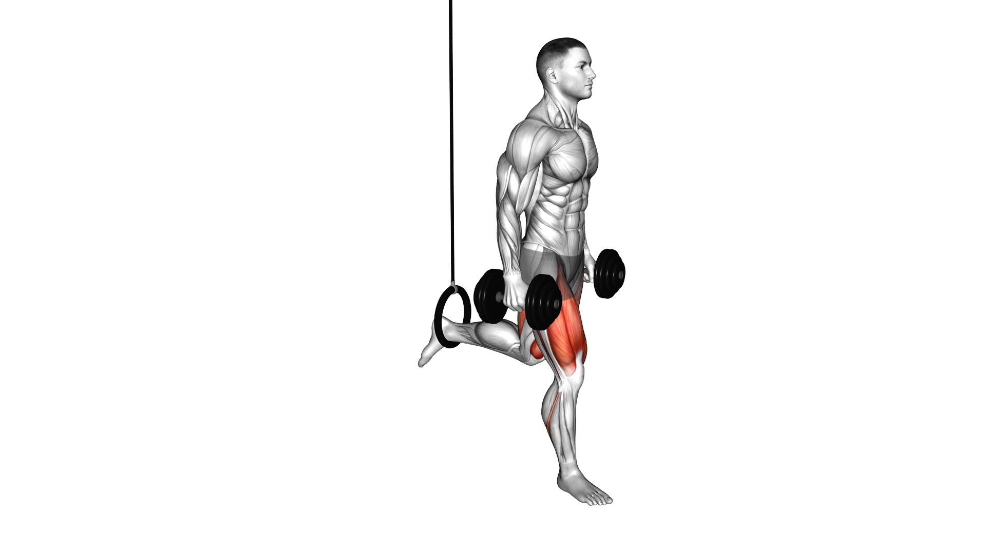 Dumbbell Single Leg Split Squat with the Ring exercise demonstration