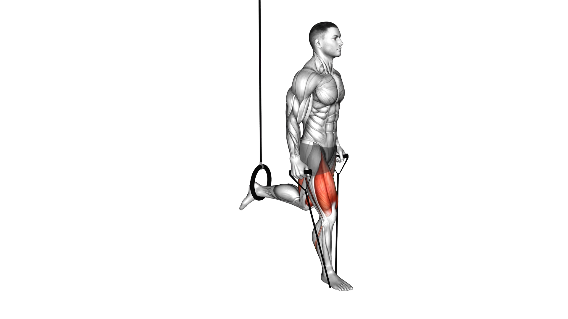 Band Single Leg Split Squat with the Ring exercise demonstration