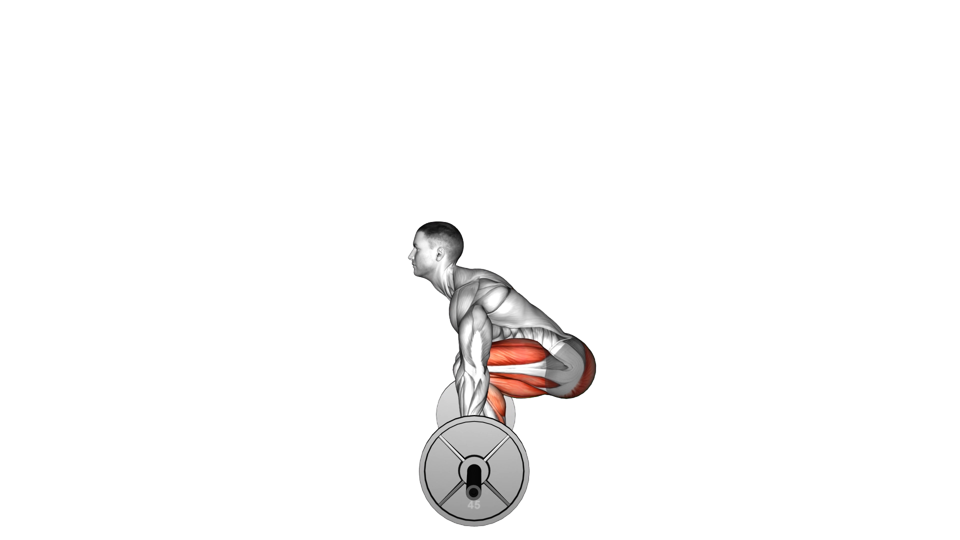 Barbell Deadlift exercise demonstration