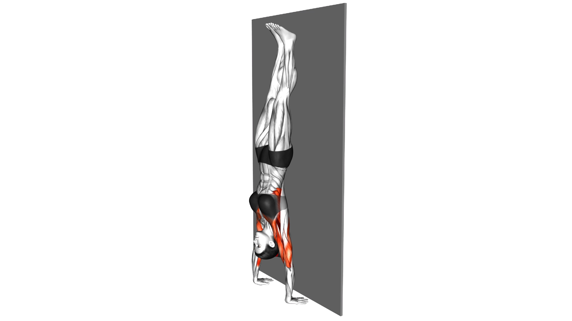 Handstand Hold on Wall exercise demonstration