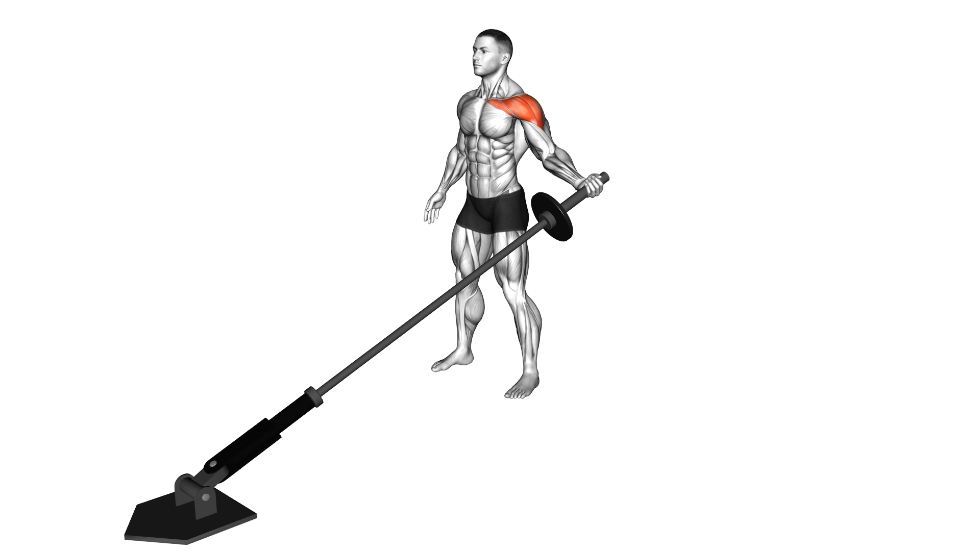 Landmine Single Arm Side Low Fly exercise demonstration