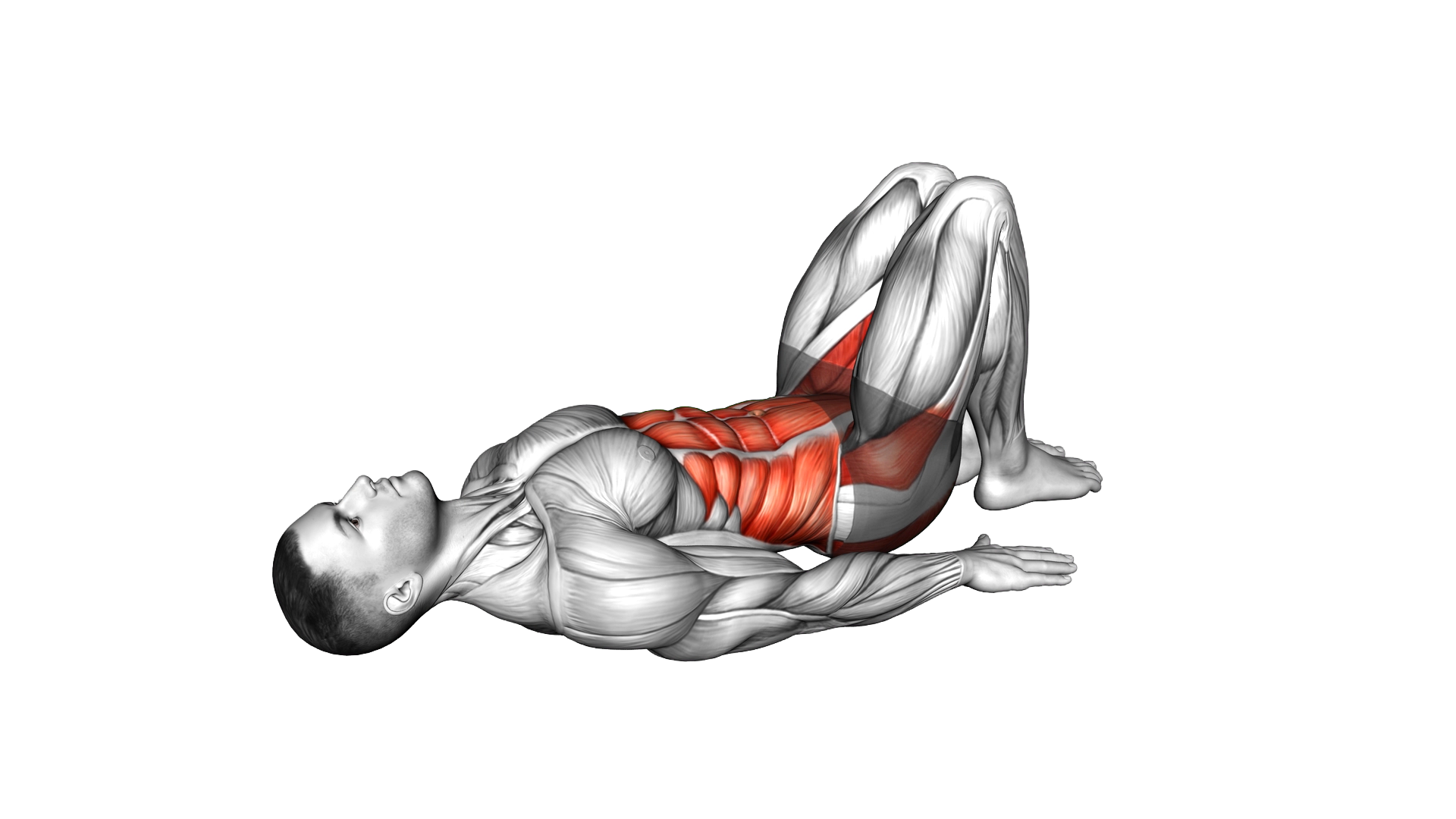 Lying Butterfly (Abduction) exercise demonstration