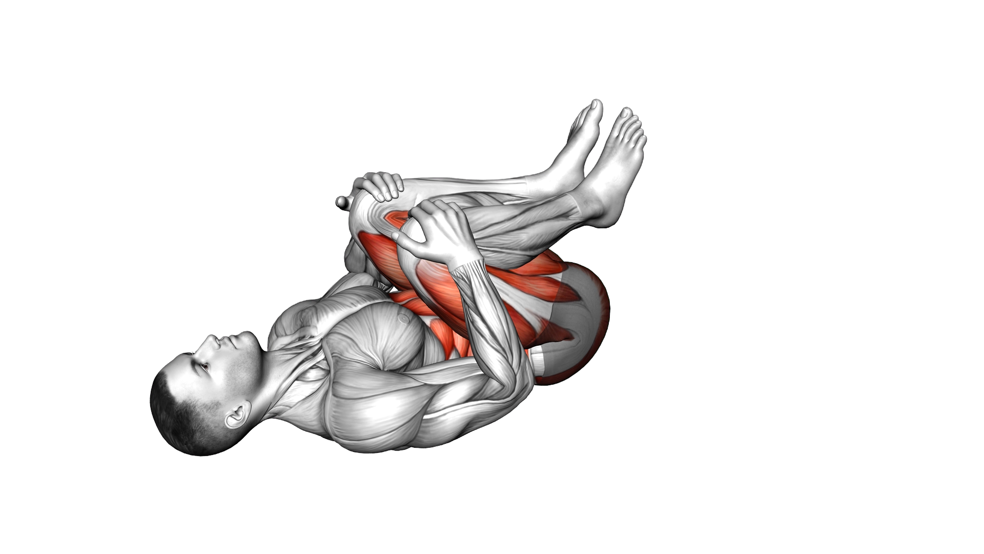 Lying Hip Circle exercise demonstration