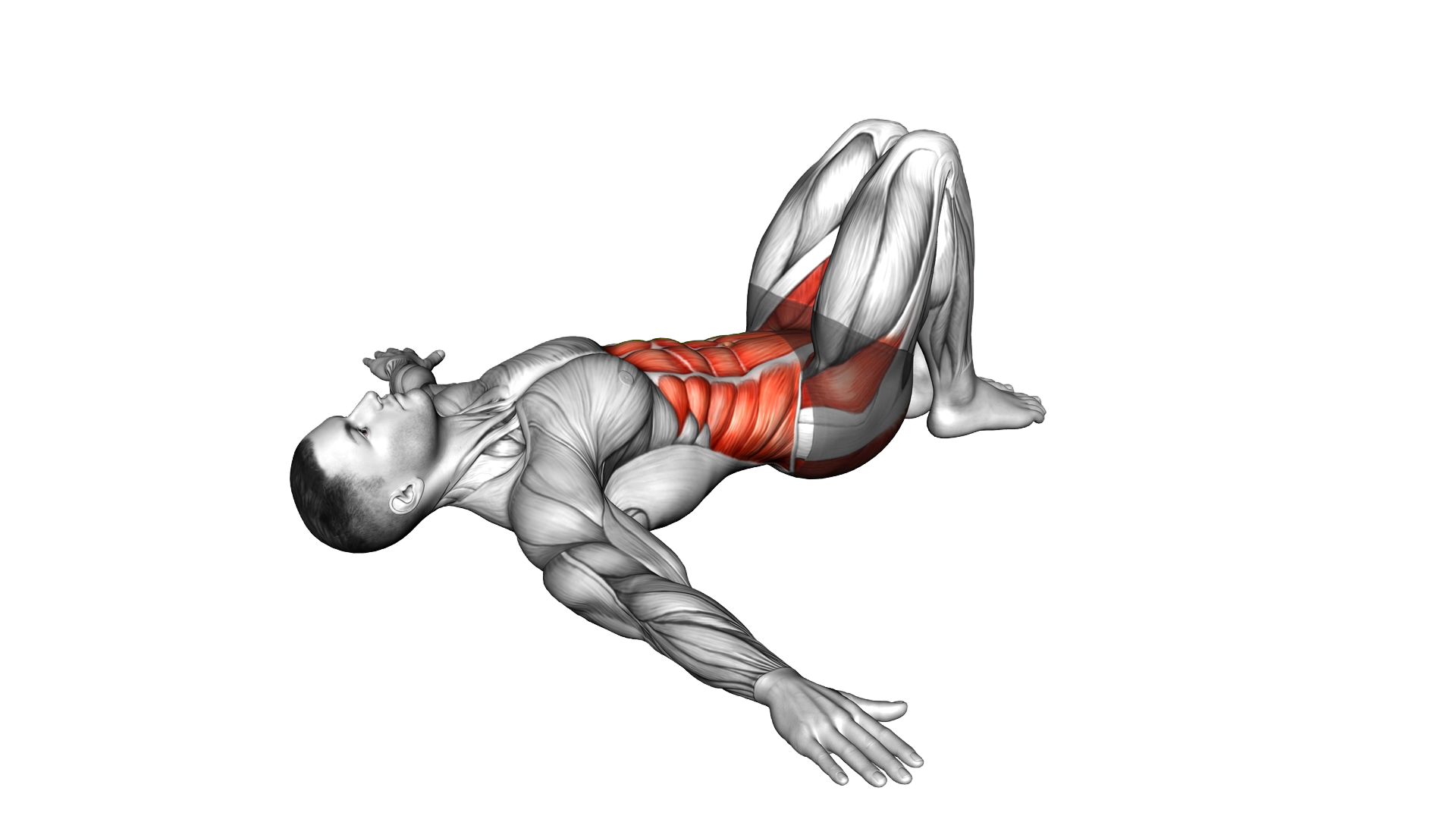 Supine Windshield Wipers exercise demonstration