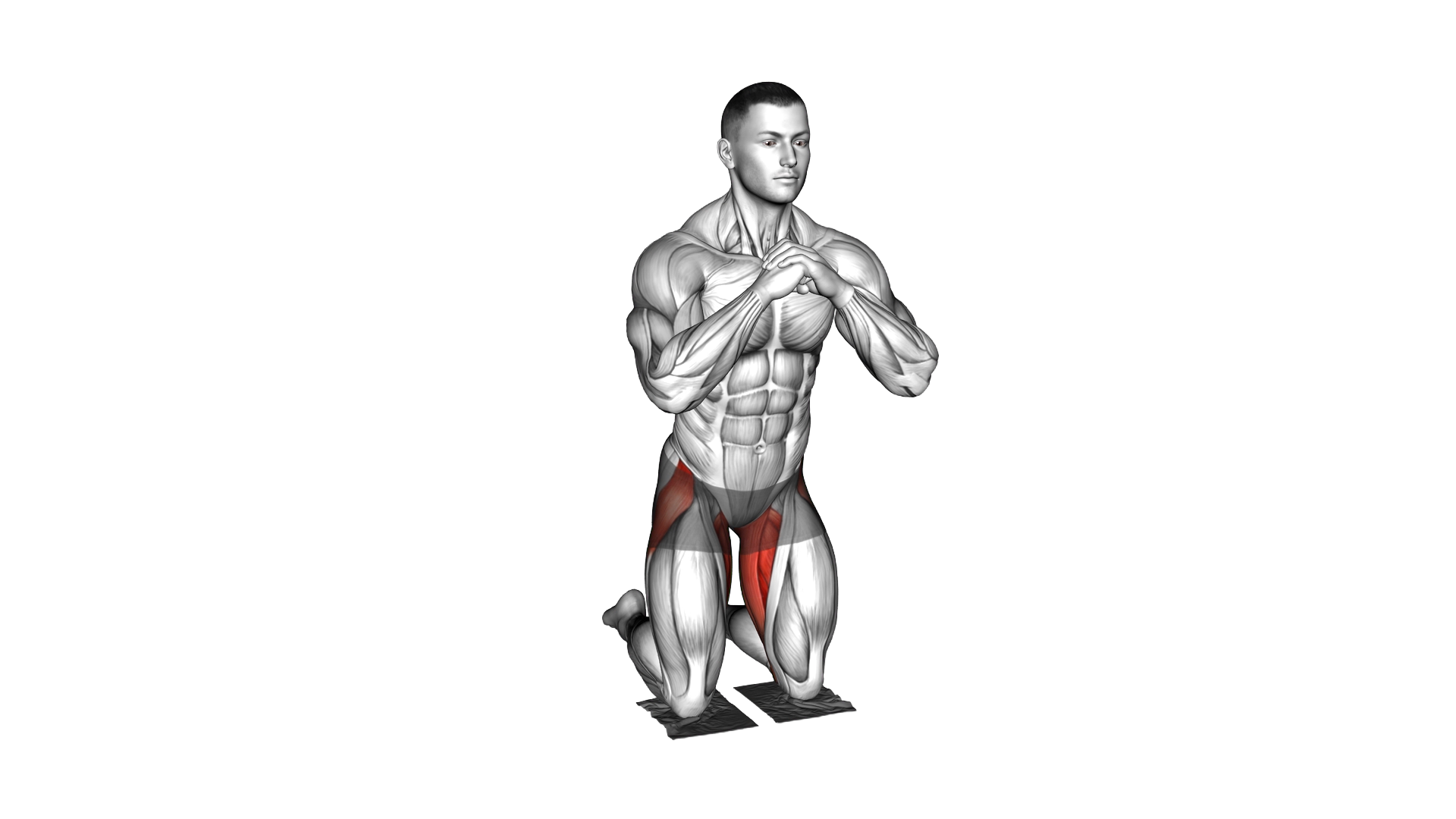 Bodyweight Kneeling Butterfly with Towels exercise demonstration
