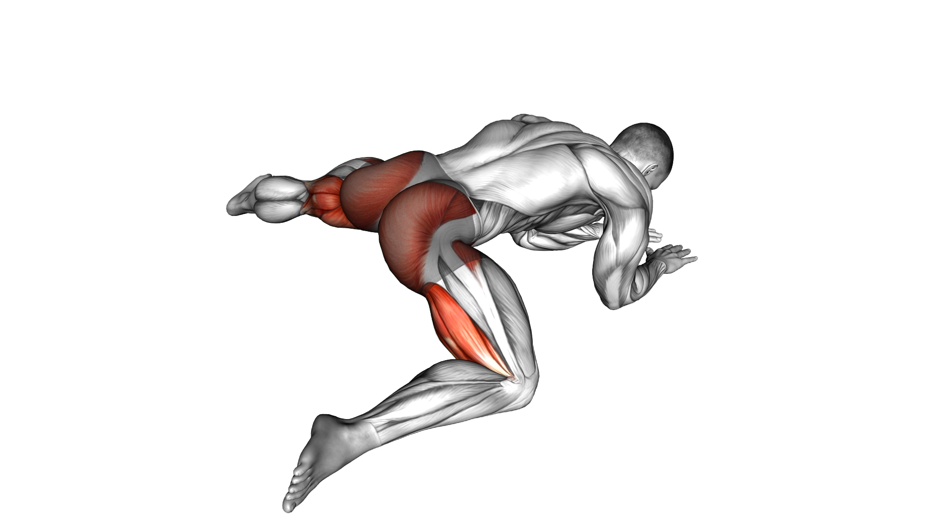 Rocking Half Frog Stretch exercise demonstration