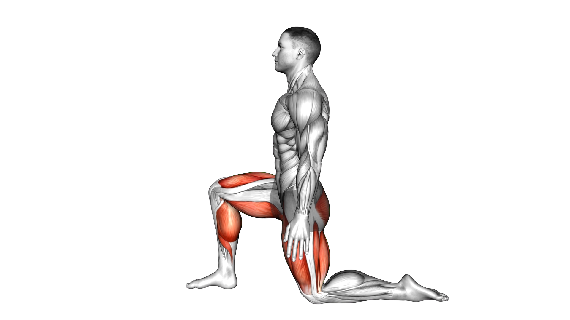 Dynamic Weight Bearing Ankle Dorsi Flexion exercise demonstration