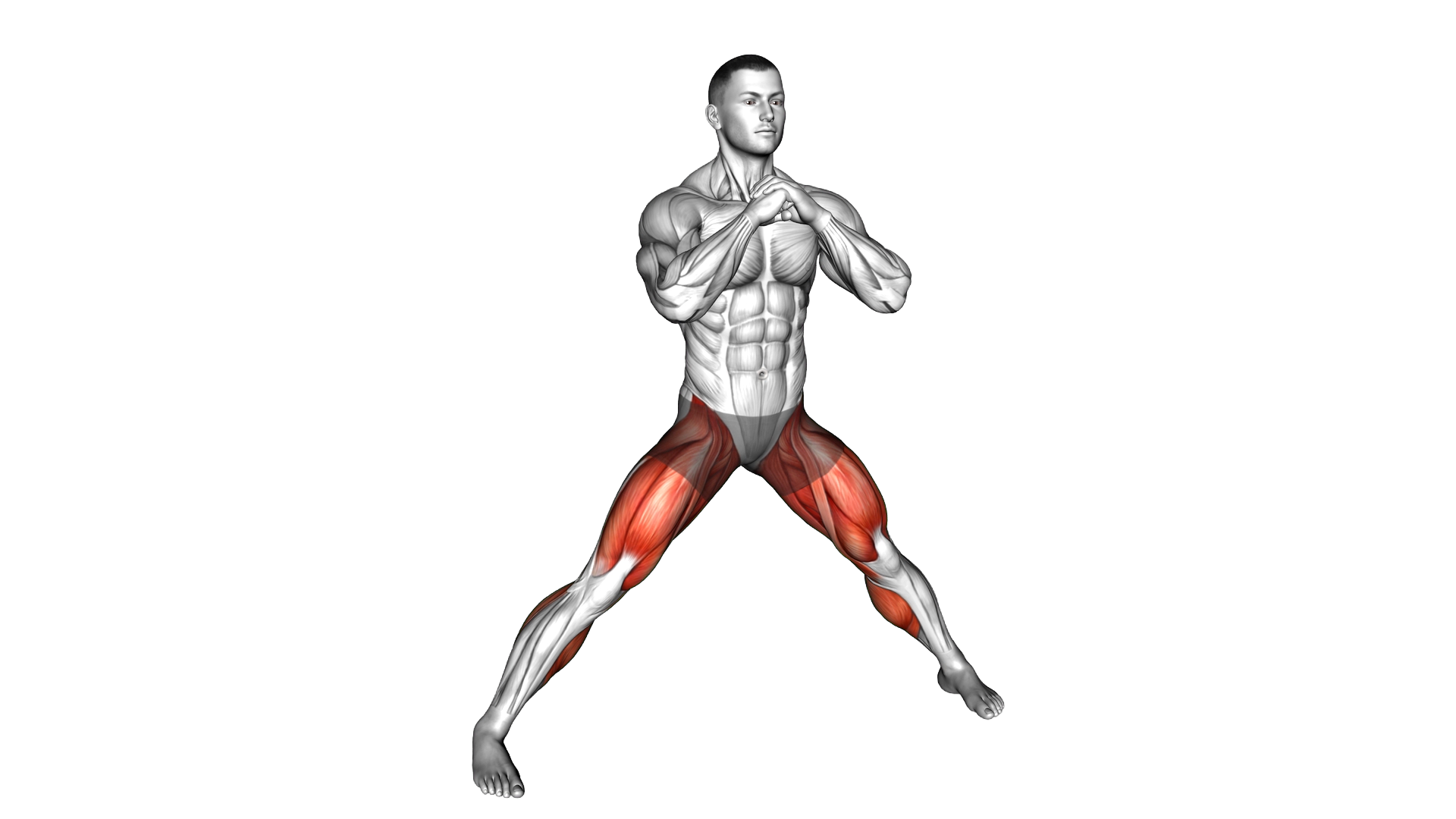 Horse Stance Squat exercise demonstration