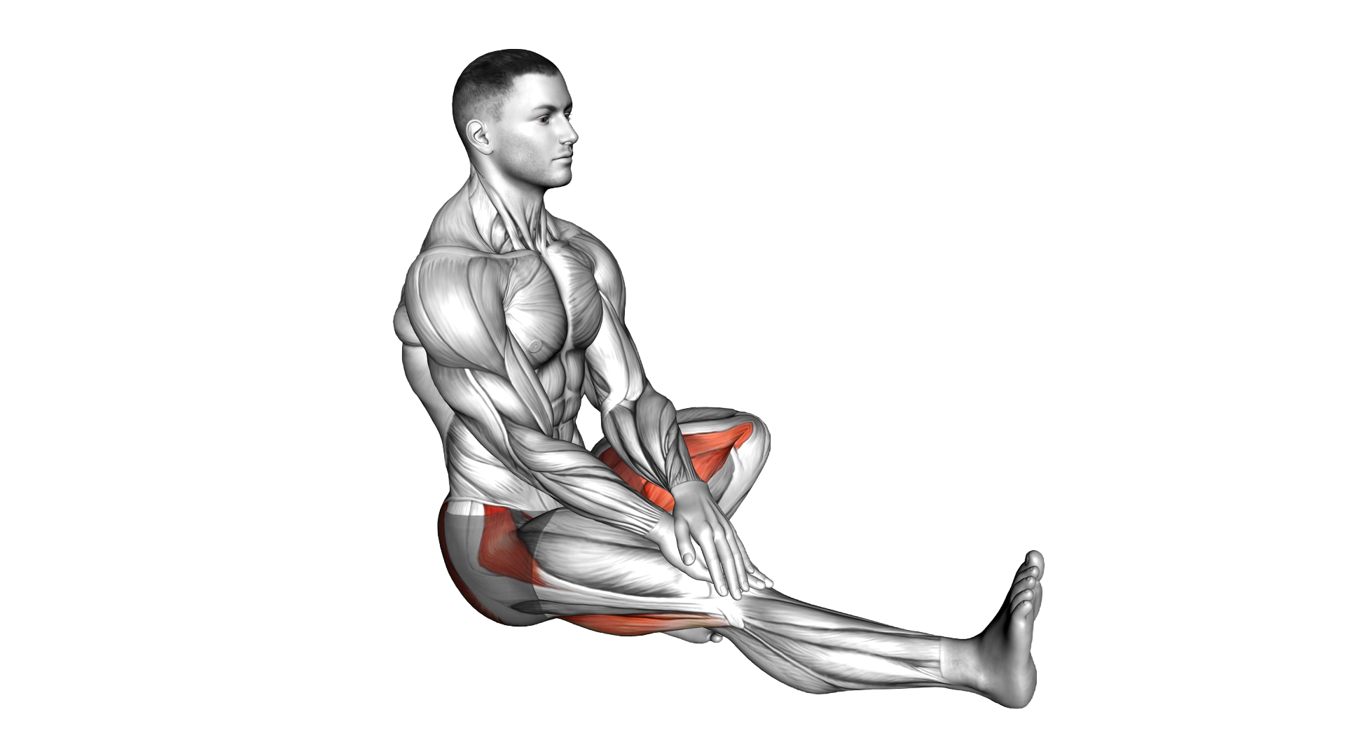 Head To Knee Janu Sirsasana Yoga Pose exercise demonstration