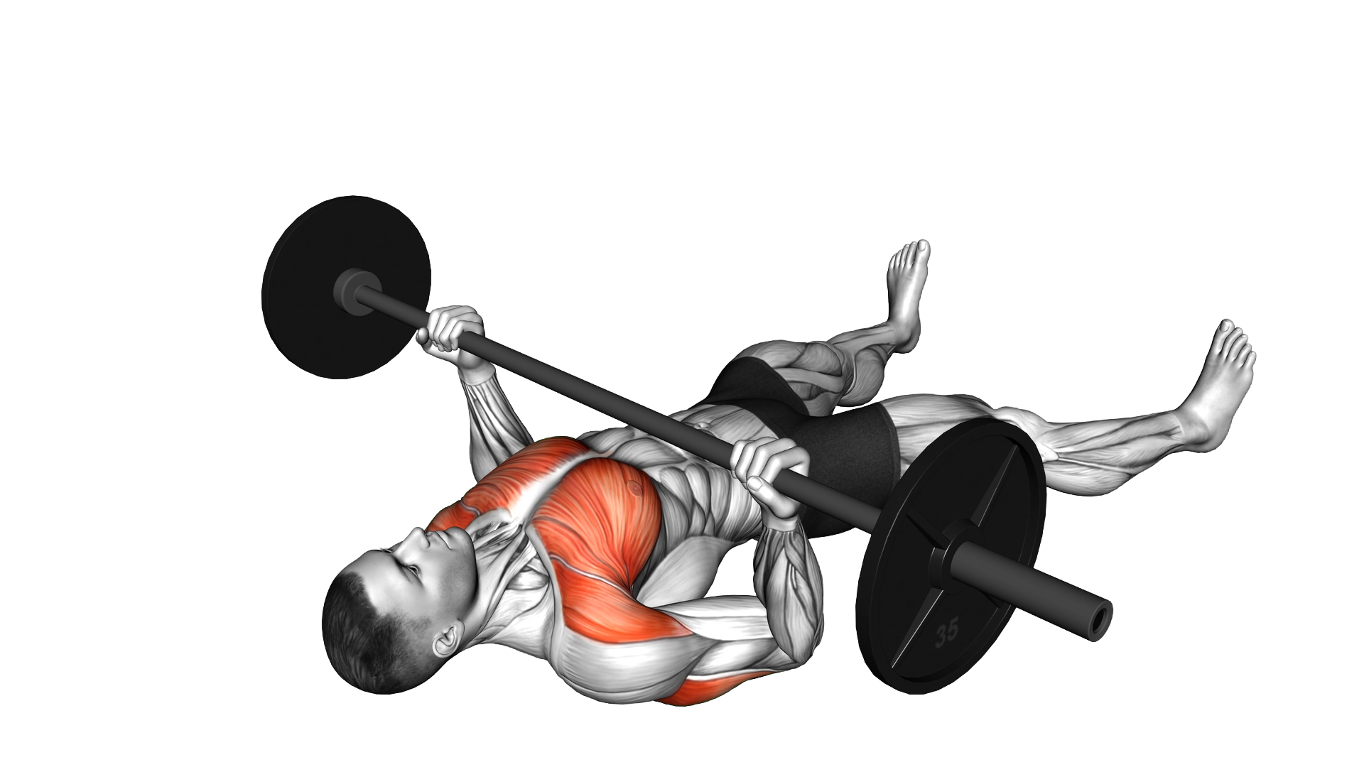 Barbell Reverse Grip Bench Press on Floor exercise demonstration