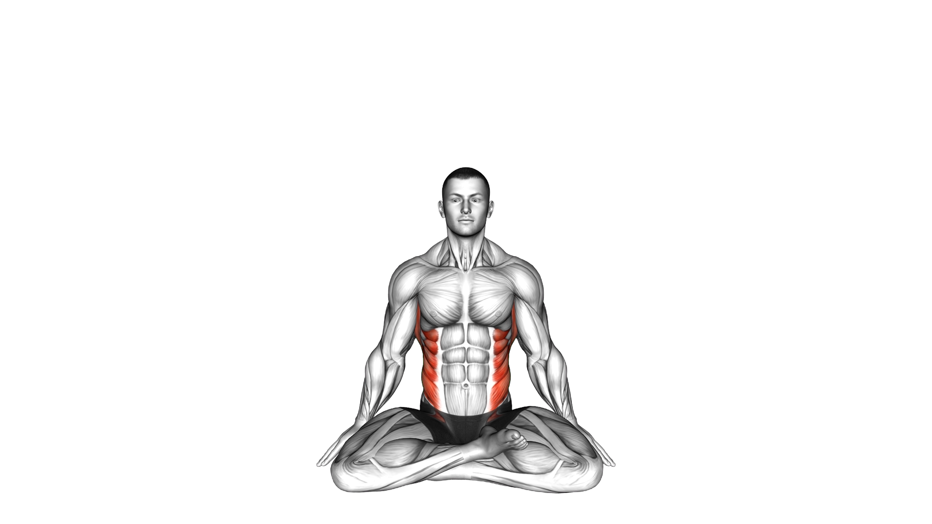 Sitting Dynamic Side Stretch exercise demonstration