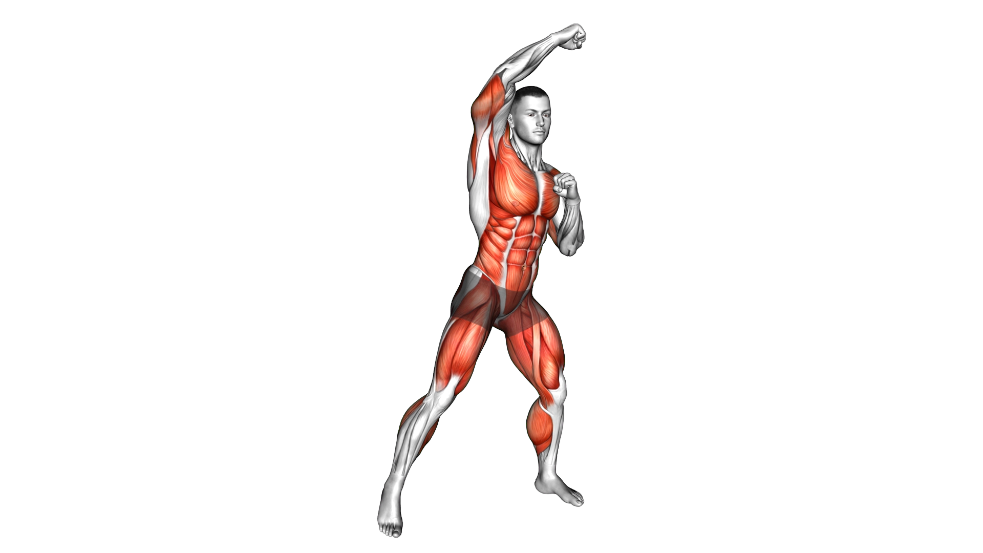 Squat Bounce Sky Punch exercise demonstration