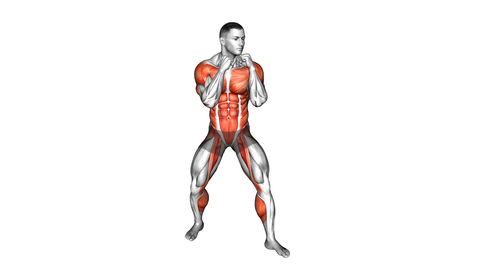 Boxing Cross Hook Cross exercise thumbnail