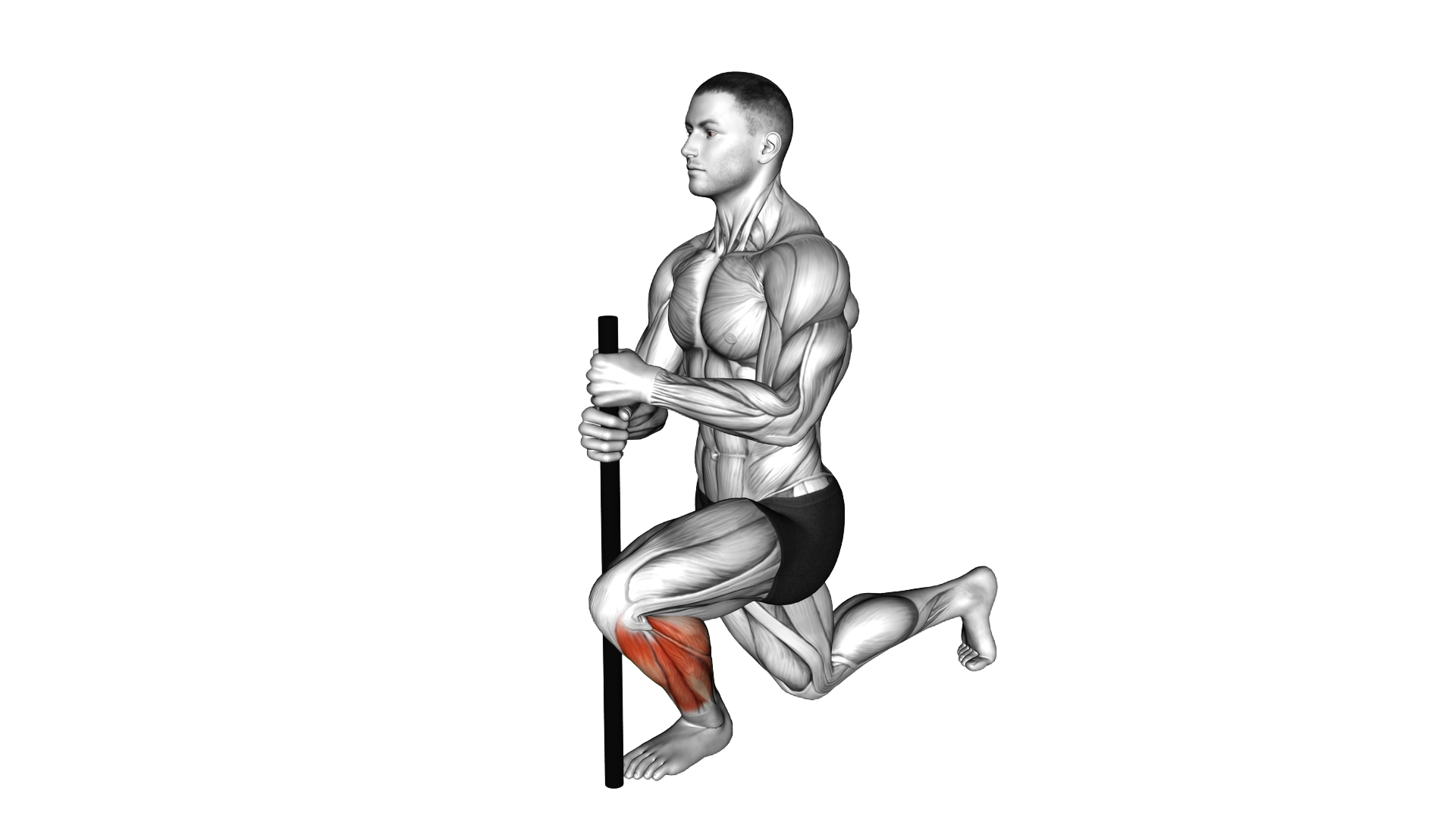 Kneeling Ankle Stretch exercise demonstration