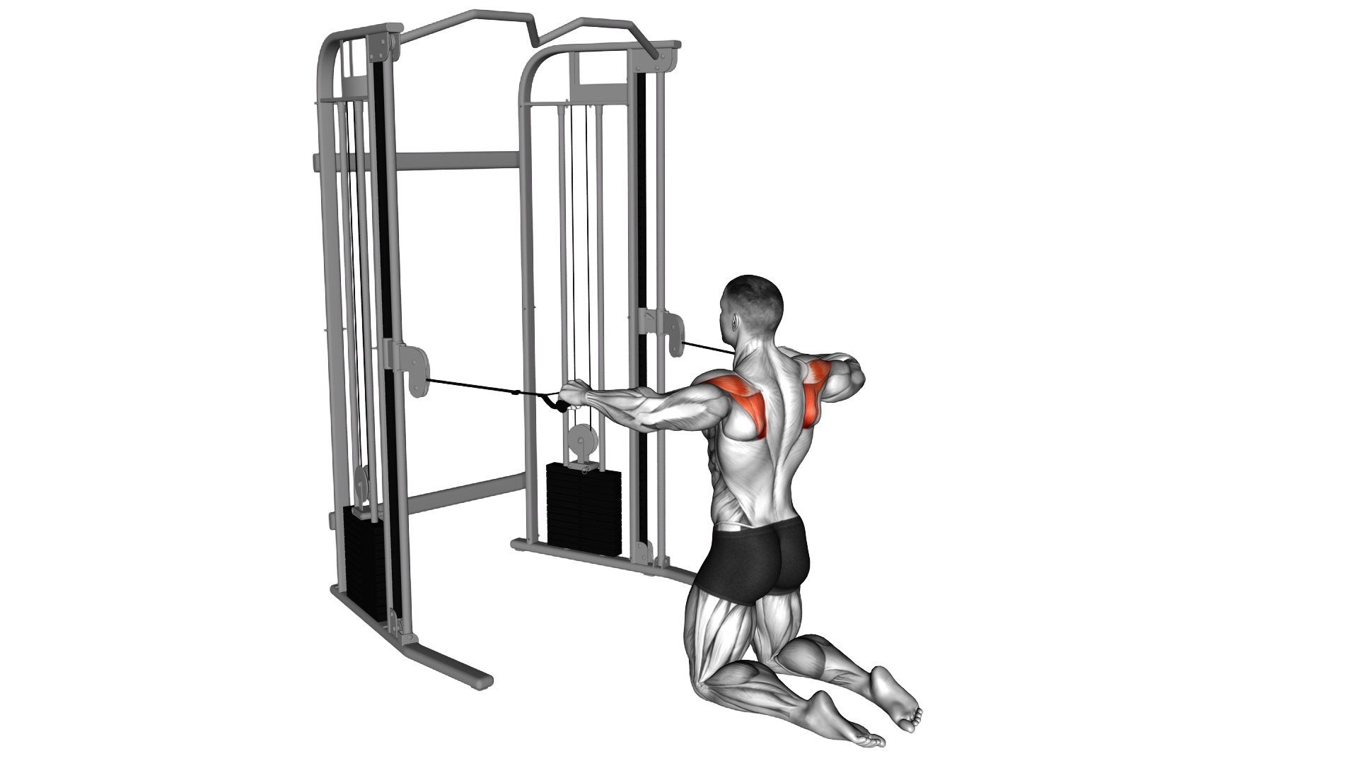 Cable Kneeling Shoulder External Rotation exercise demonstration
