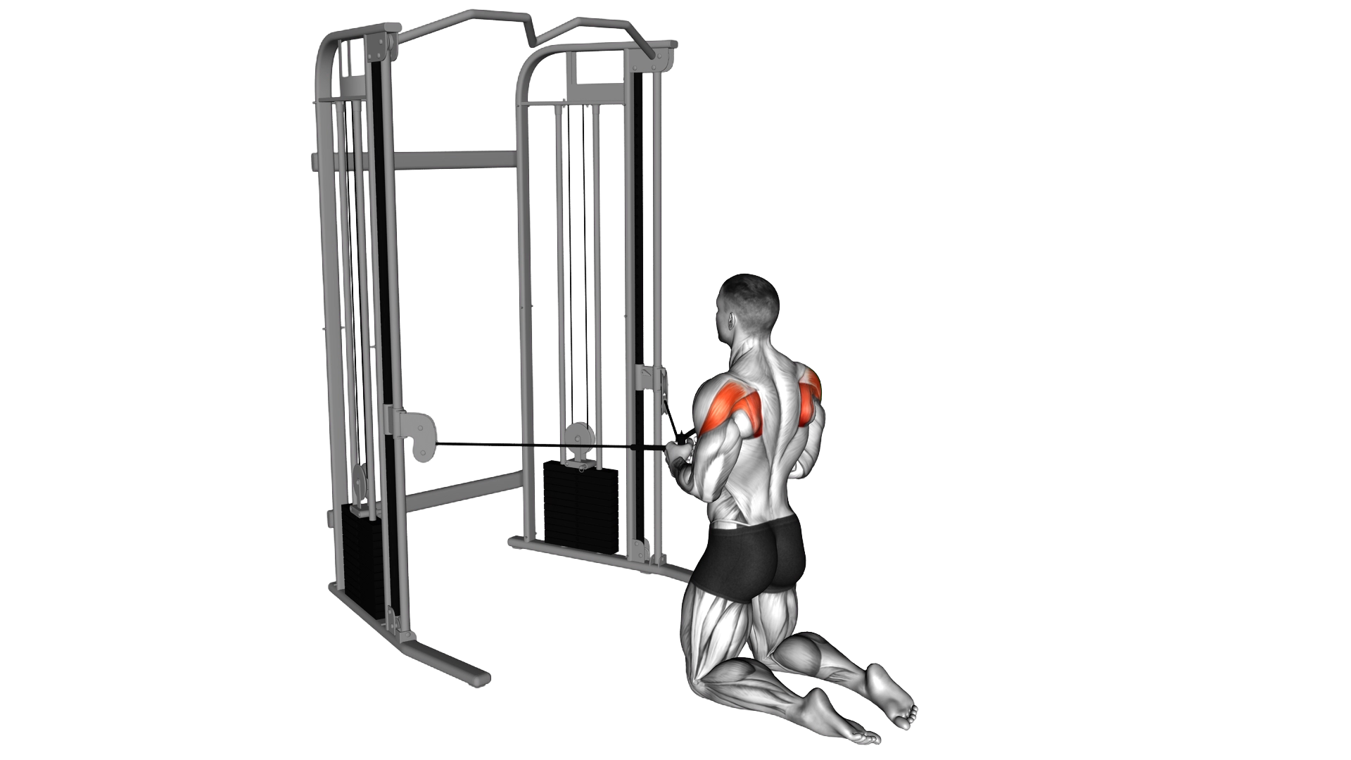 Cable Kneeling Shoulder Internal Rotation exercise demonstration