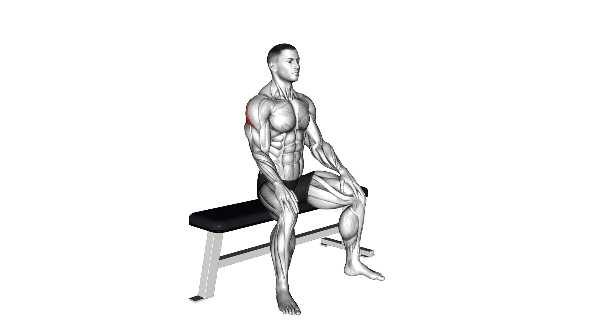 Seated Rhomboid Stretch exercise demonstration