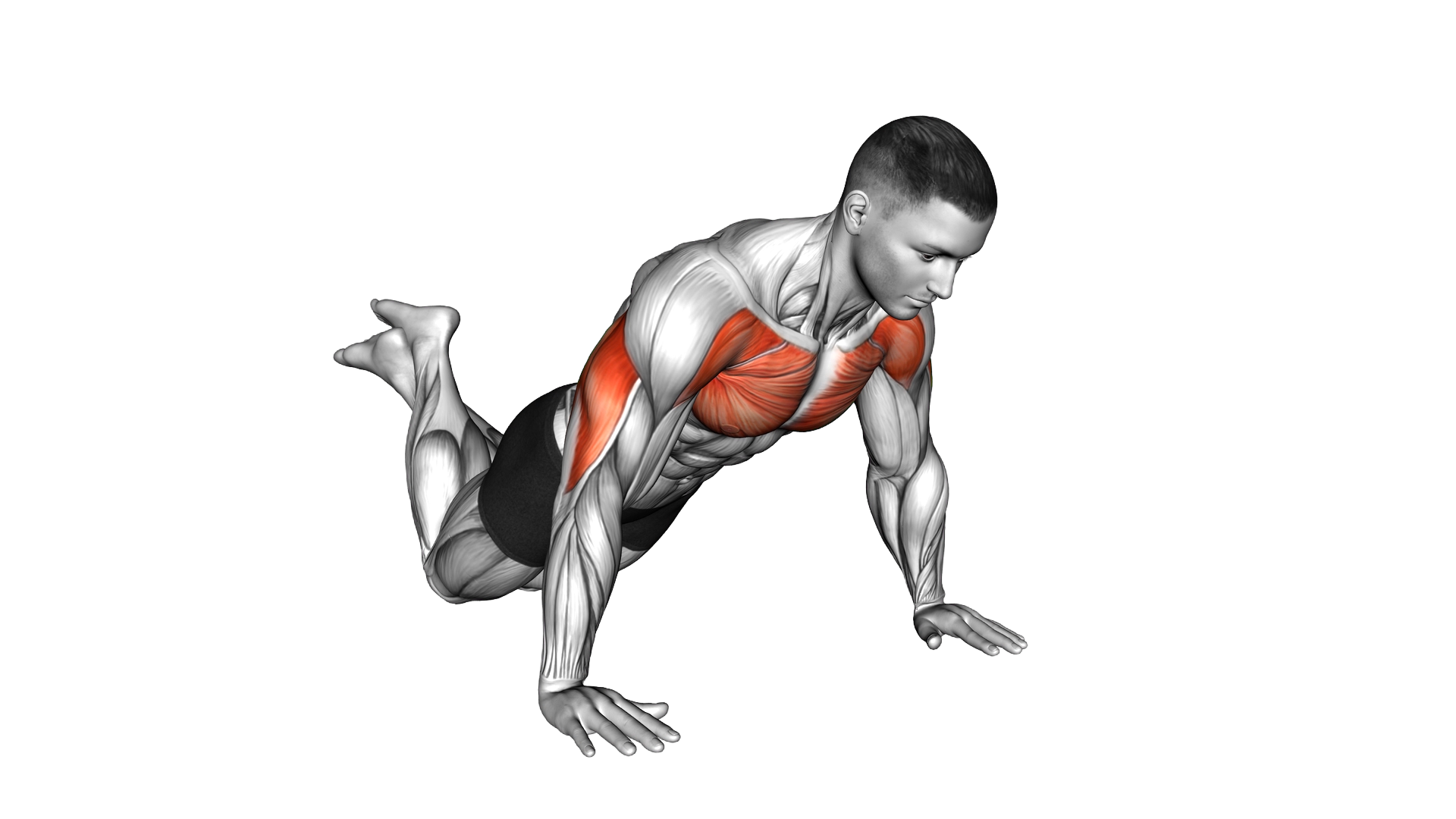 Explosive Kneeling Push Up exercise demonstration
