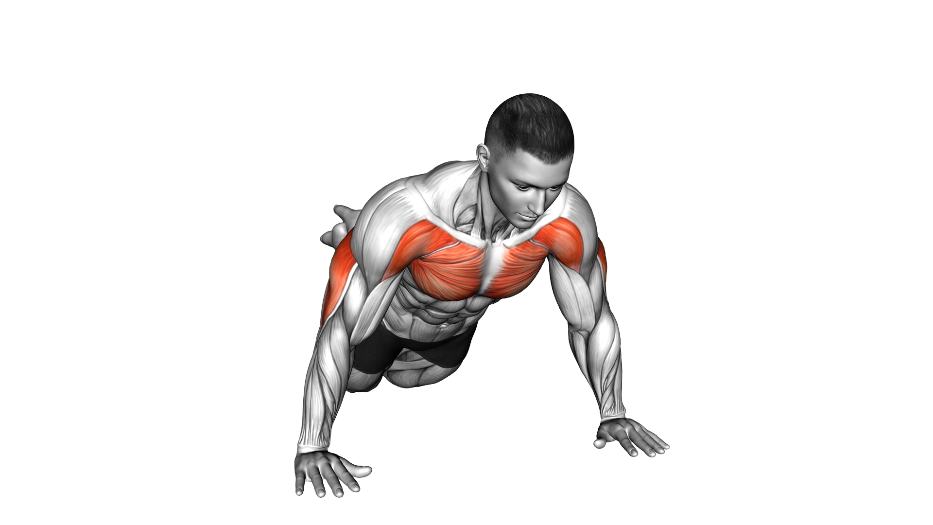 Side Kneeling Push up exercise demonstration