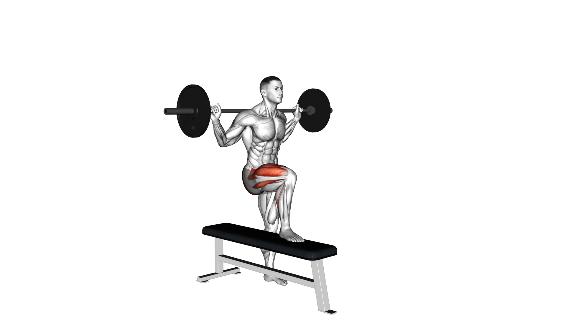 Barbell Bench Lateral Step up exercise demonstration