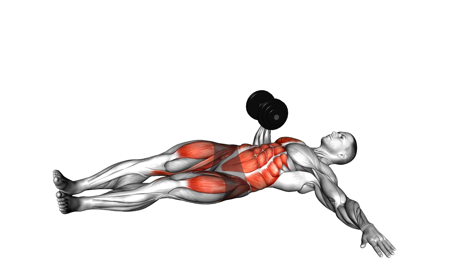 Dumbbell Lying Oblique V Up exercise demonstration