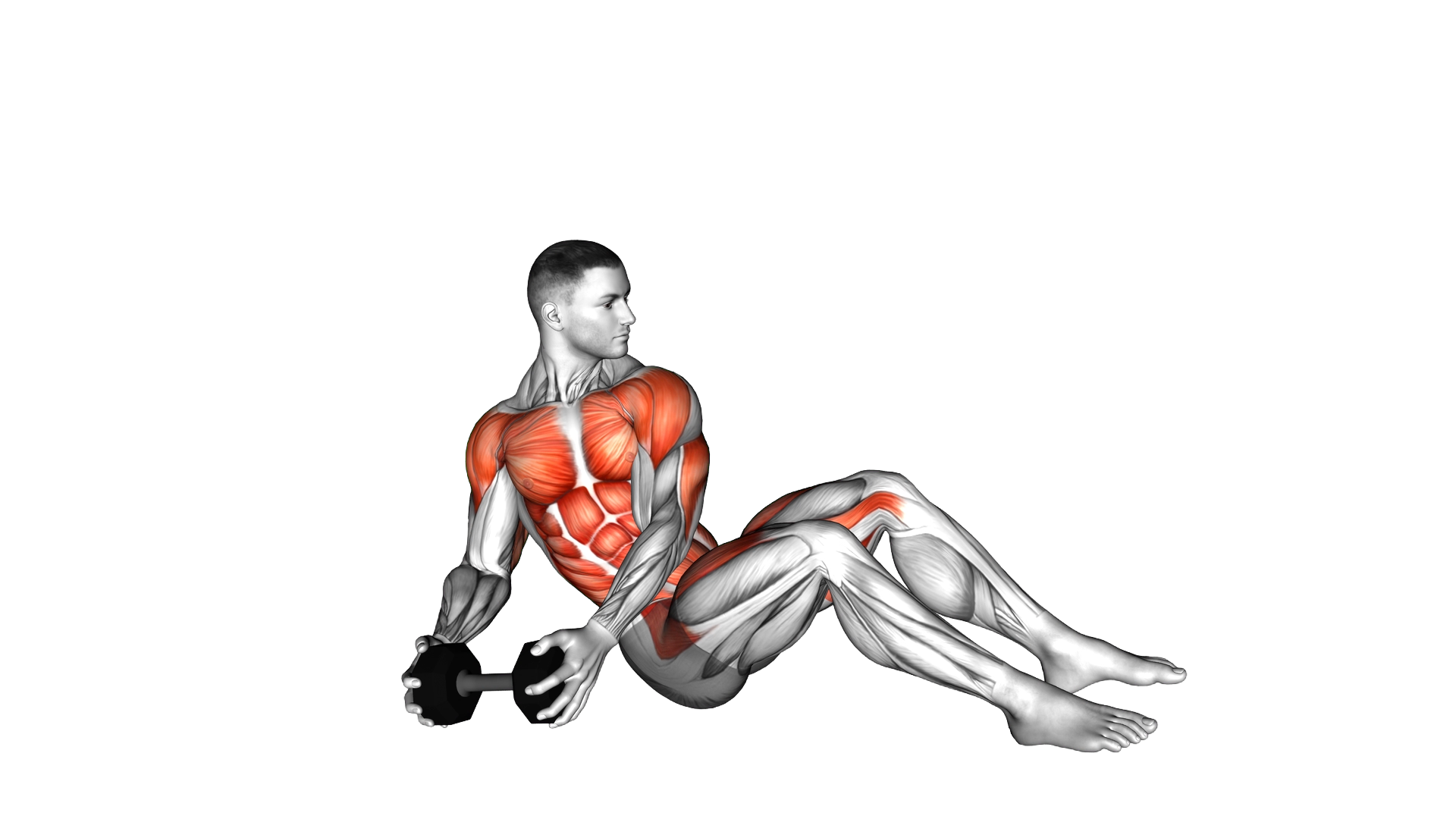 Dumbbell Military Press Russian Twist with Legs Floor Off exercise demonstration