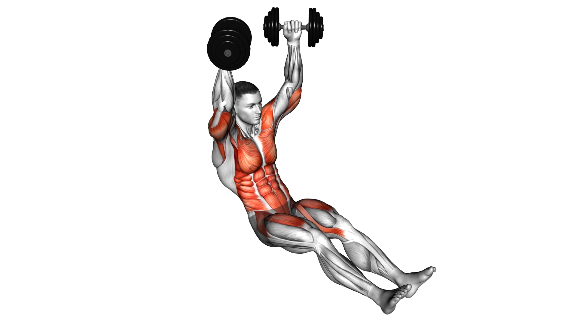 Dumbbell Seated Military Hold Alternate Leg Raise on Floor exercise demonstration