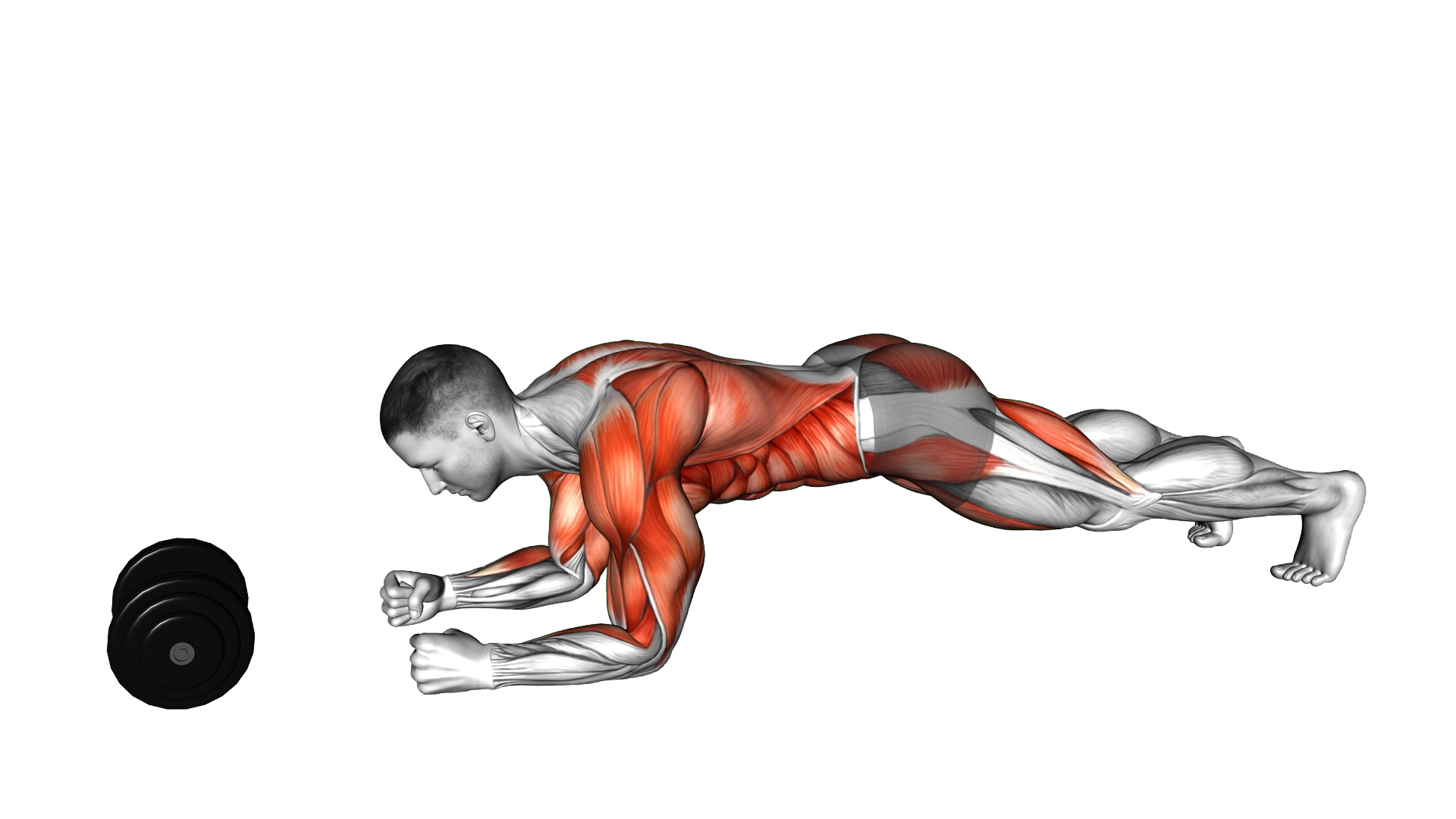 Plank Alternate Anti Gravity Pull up exercise thumbnail