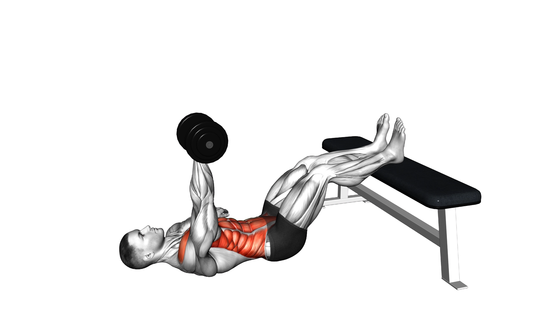 Dumbbell Overhead Sit up with Legs on Bench exercise demonstration