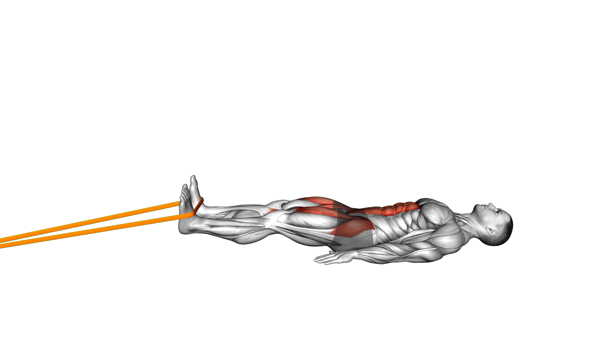 Resistance Band Lying Bent Knee Raise exercise demonstration