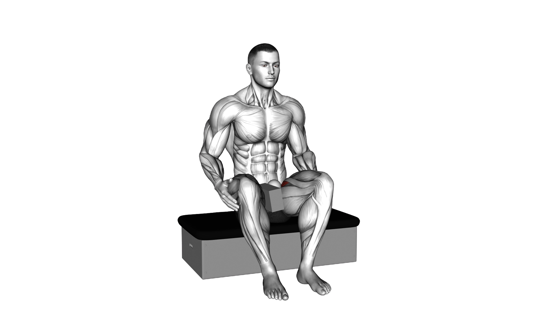 Roll Ball Seated Pectineus Activation exercise demonstration
