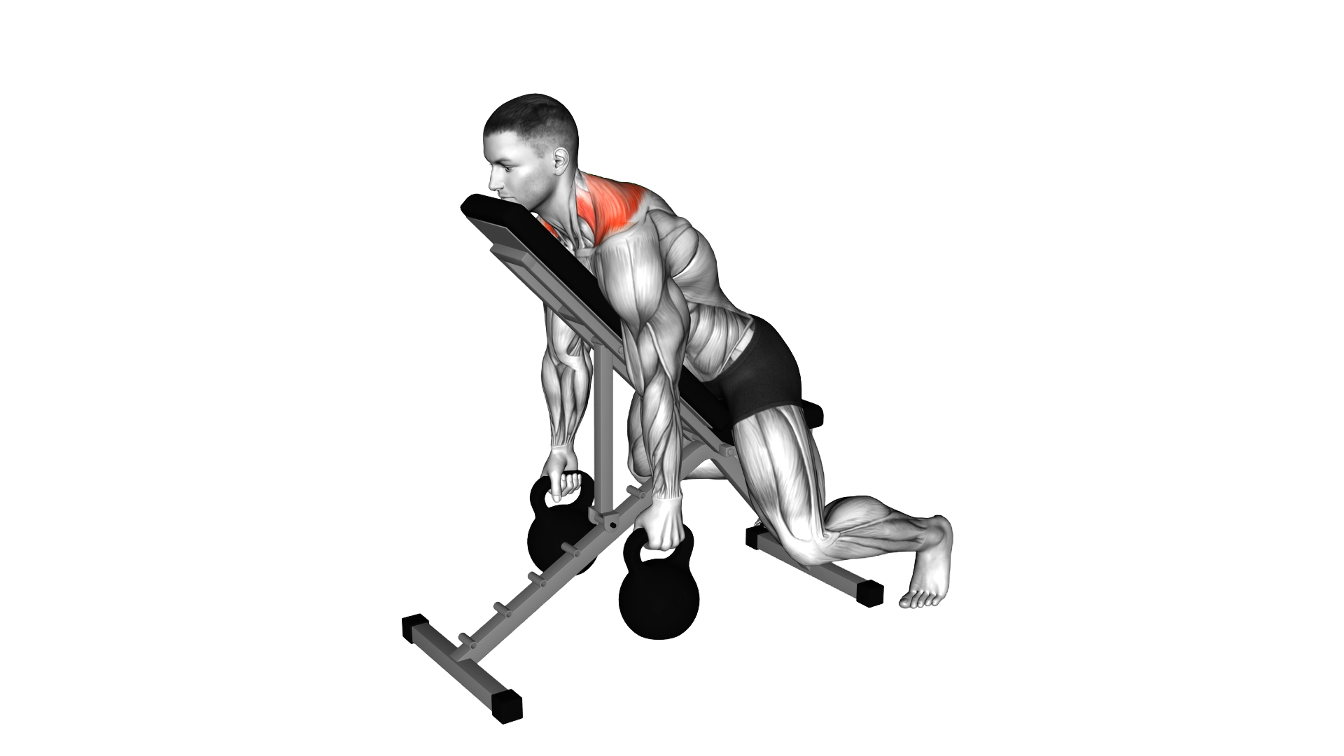 Kettlebell Decline Shrug exercise demonstration