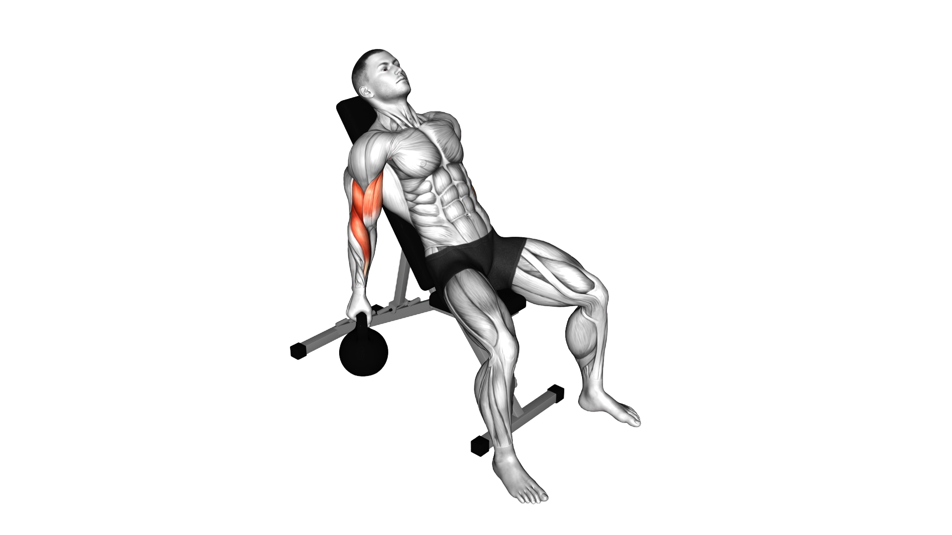 Kettlebell Incline Alternate Curl exercise demonstration
