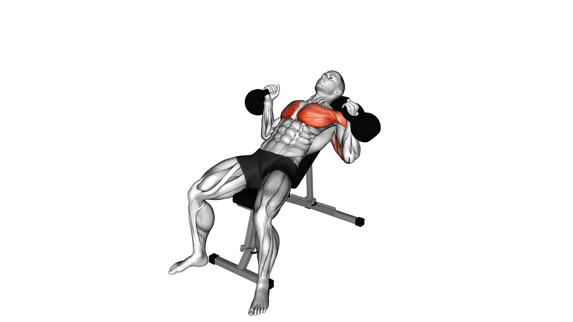 Kettlebell Incline Hammer Press exercise demonstration