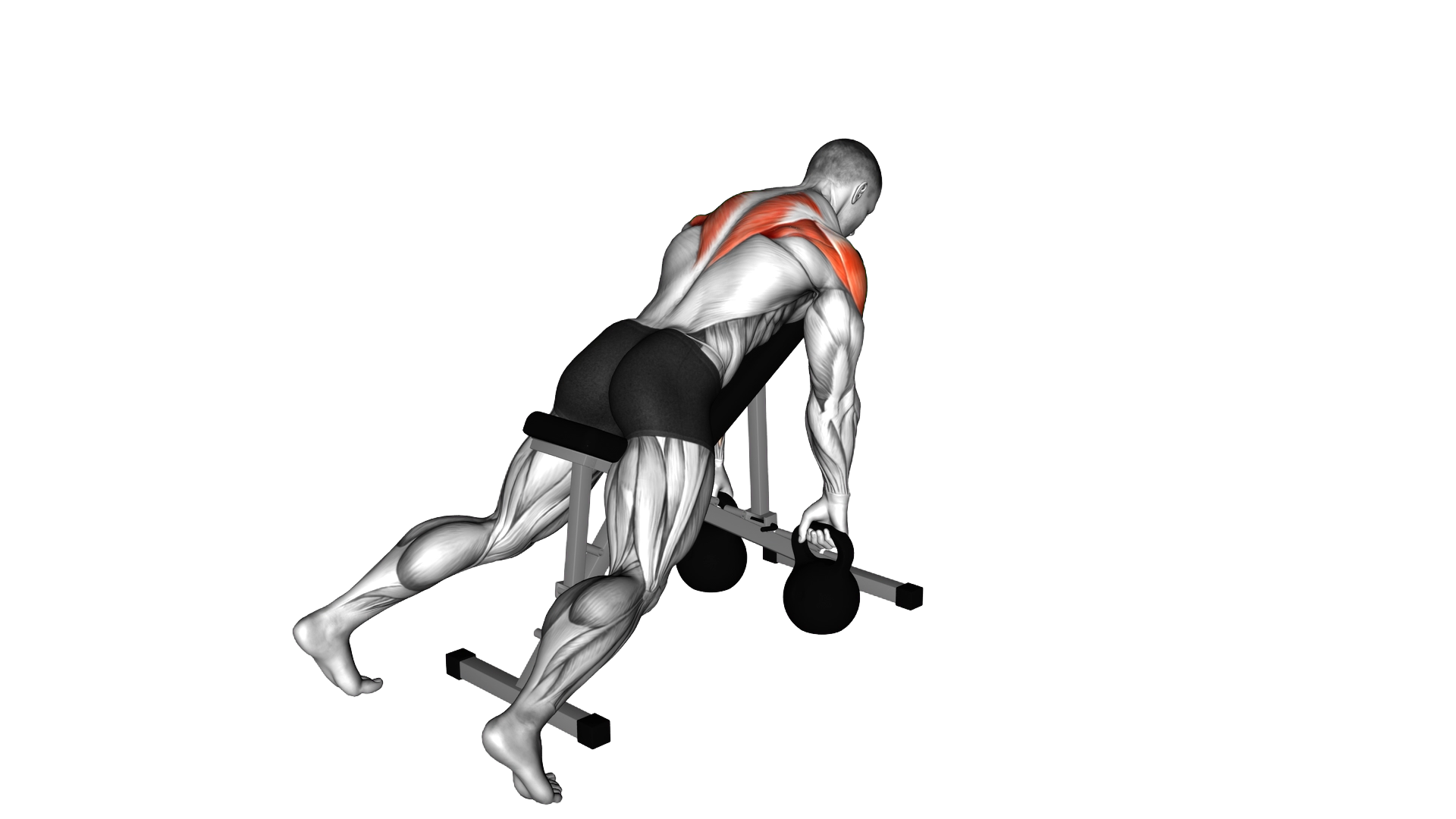 Kettlebell Incline Row exercise demonstration
