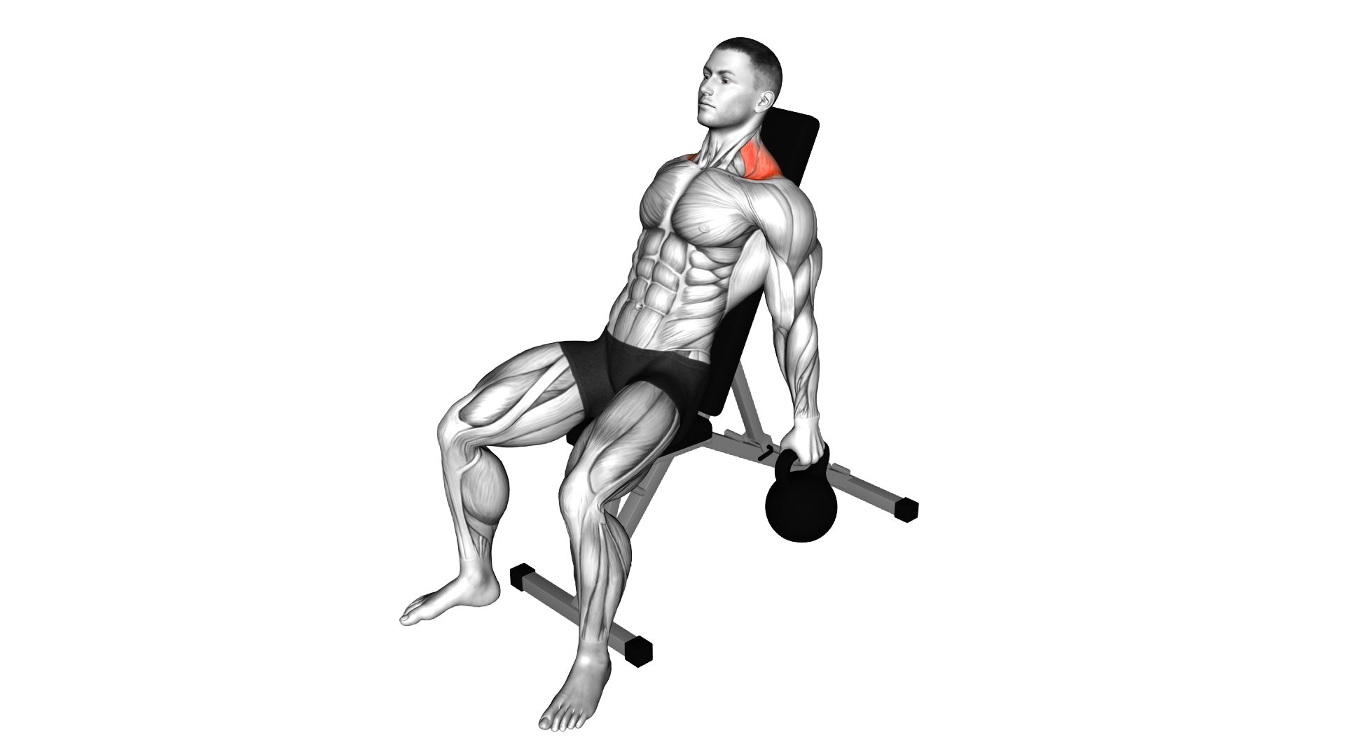 Kettlebell Incline Shrug exercise demonstration