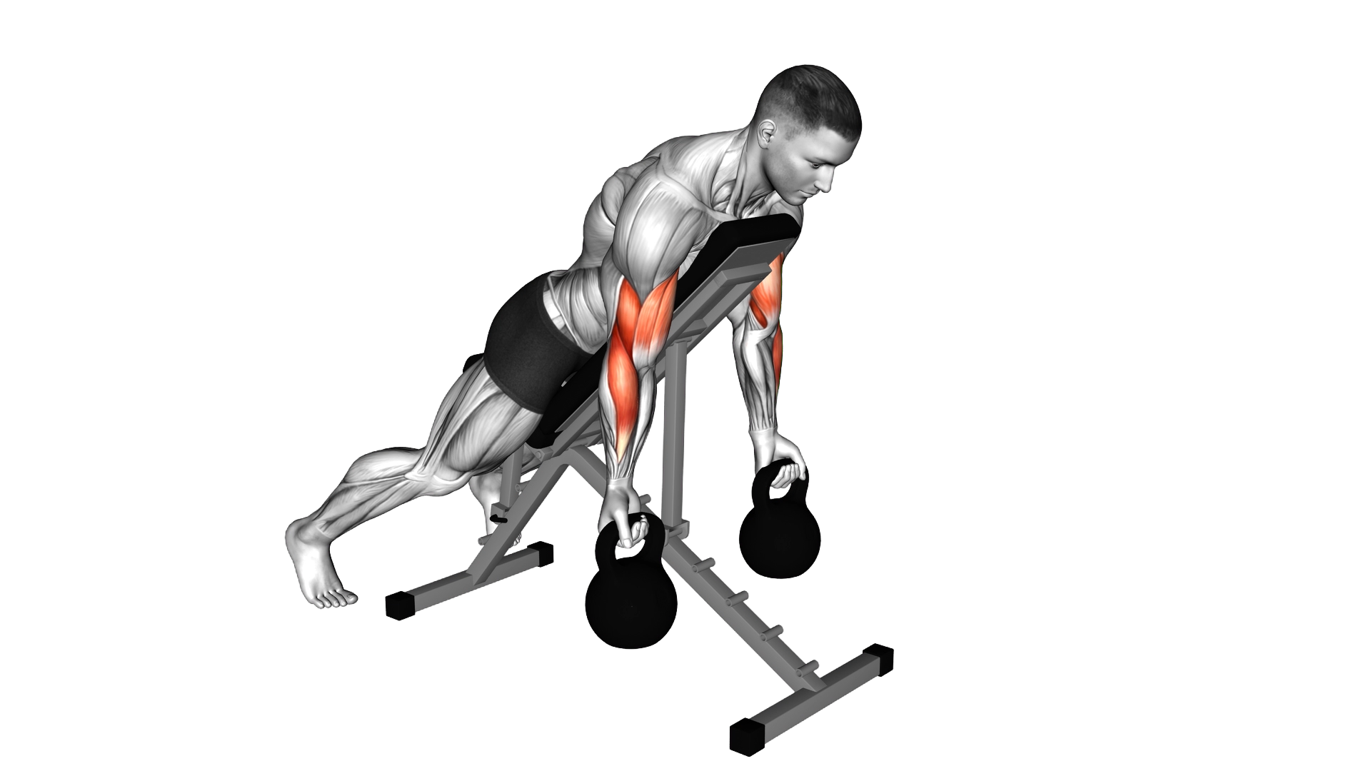 Kettlebell Prone Incline Curl exercise demonstration