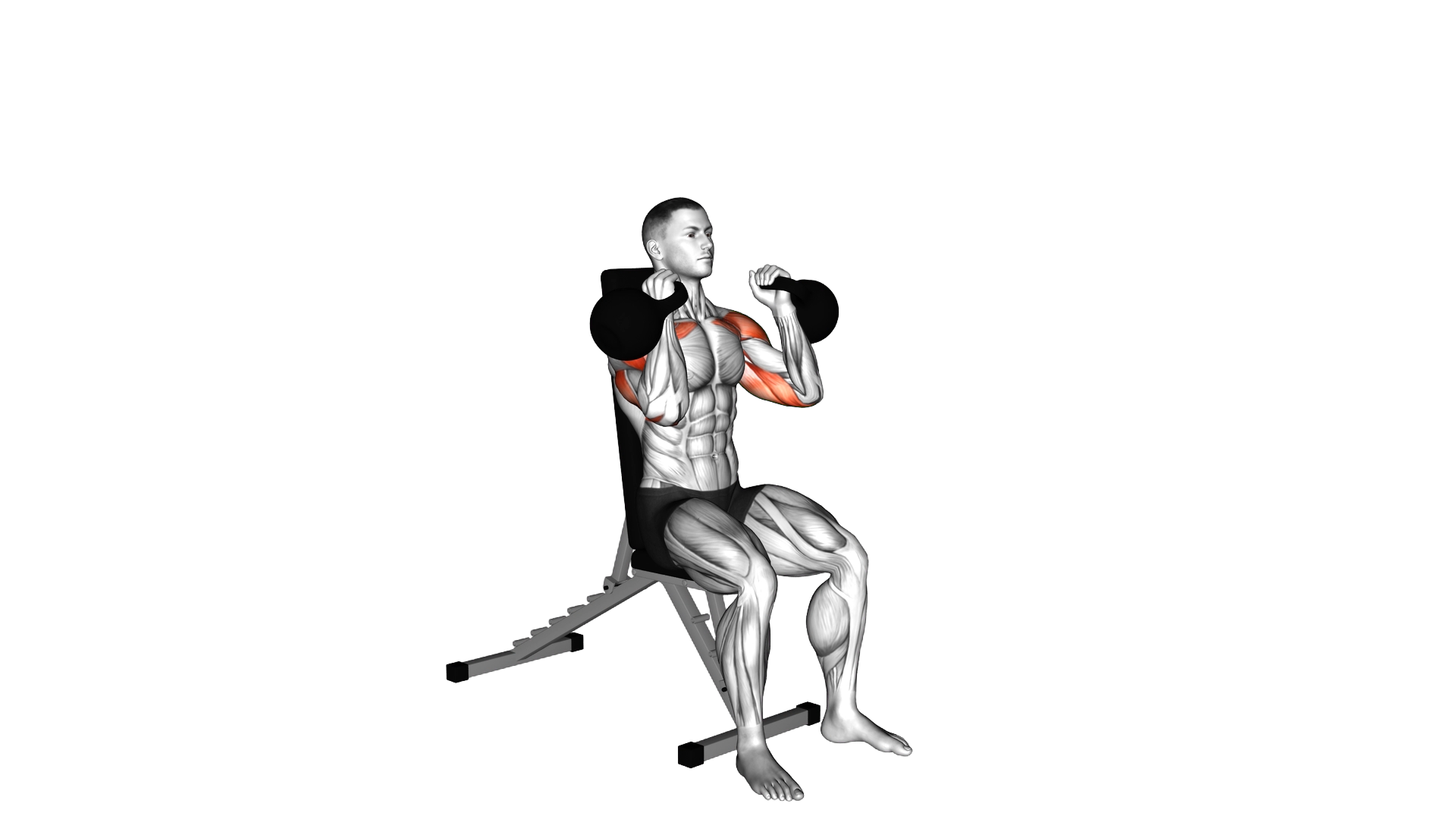 Kettlebell Seated Neutral Grip Shoulders Press exercise demonstration