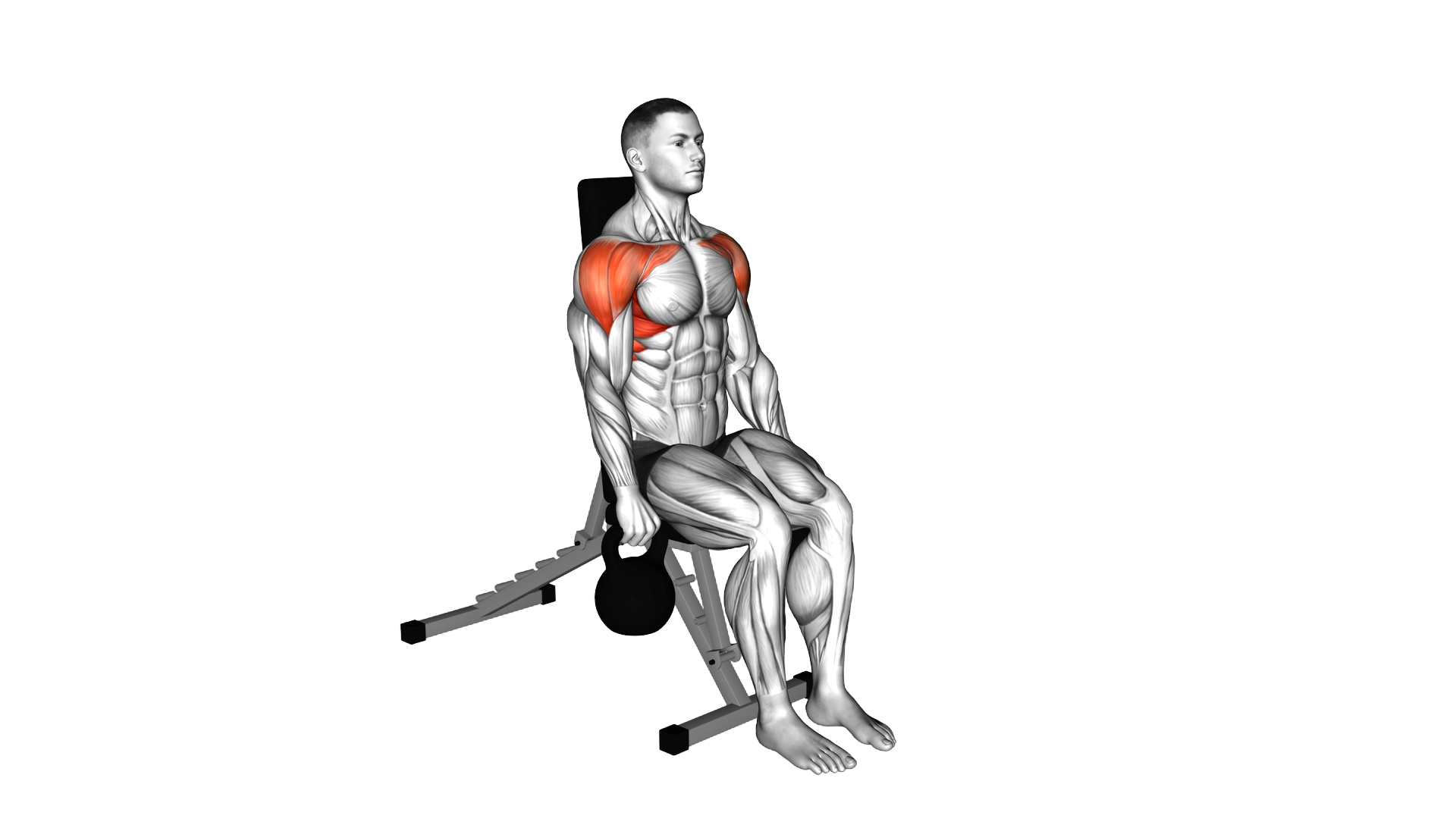 Kettlebell Seated Front Raise exercise demonstration