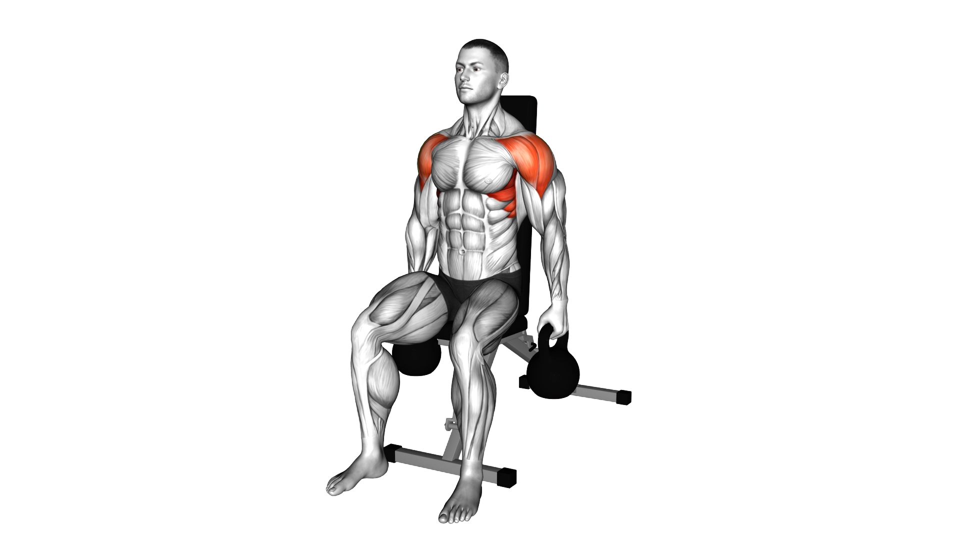 Kettlebell Seated Lateral Raise exercise demonstration