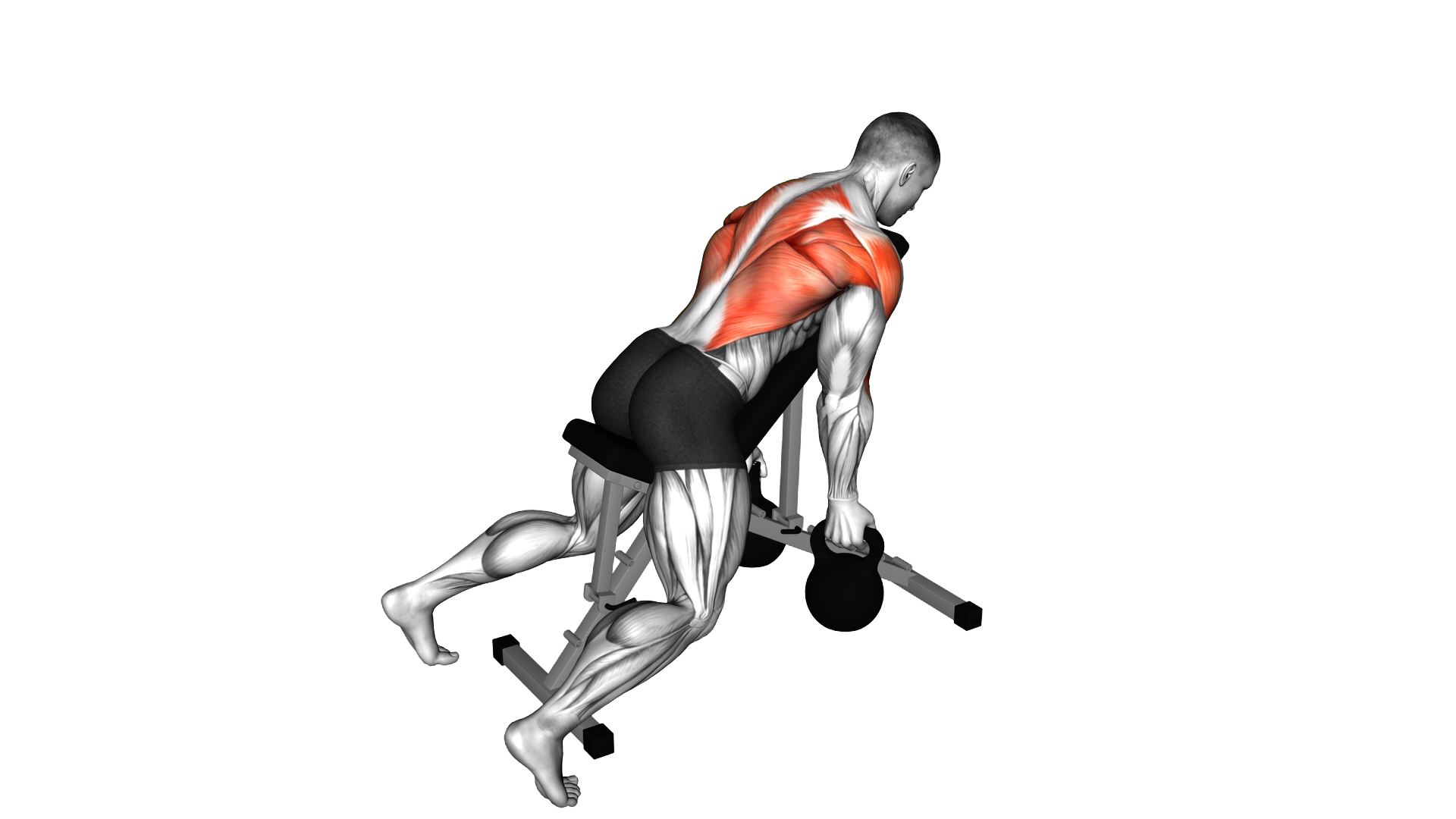 Kettlebell Lying Rear Delt Row exercise demonstration